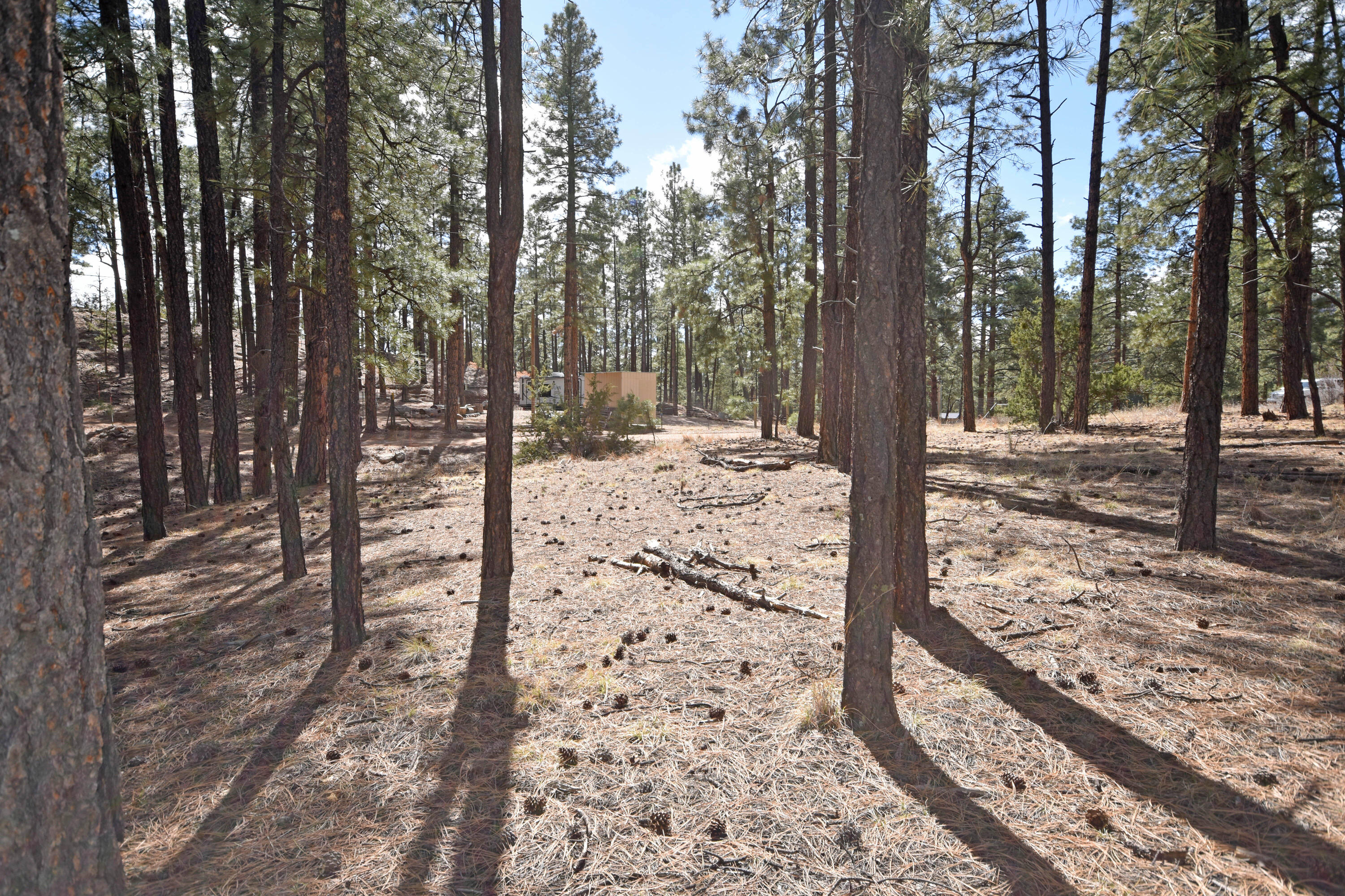 Photo 5 — Lot 49 A Cool Pines