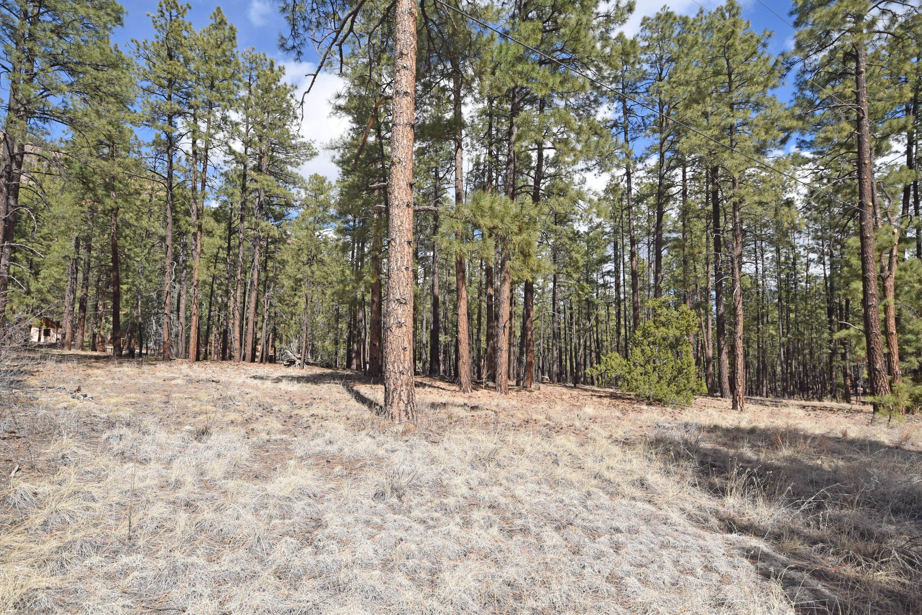 Photo 6 — Lot 49 A Cool Pines
