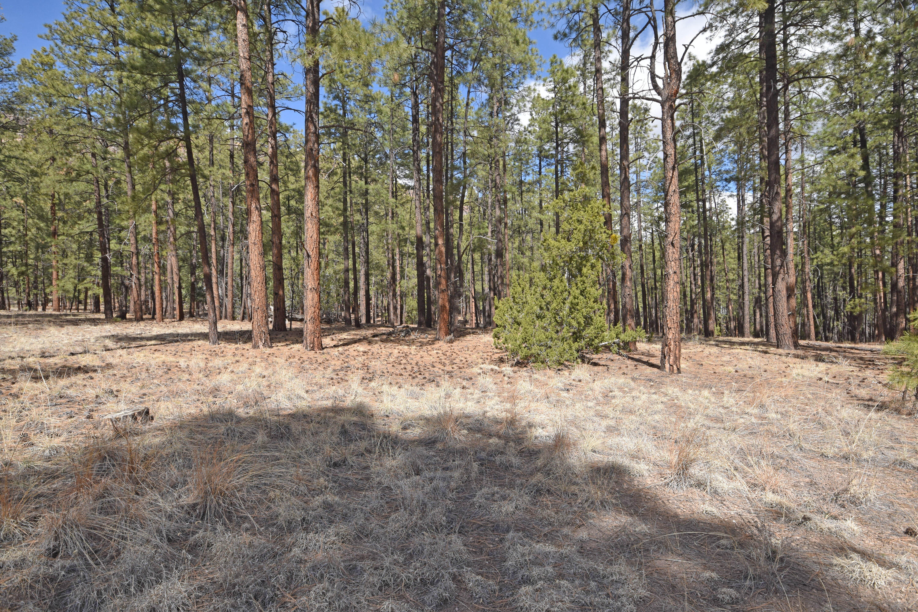 Photo 7 — Lot 49 A Cool Pines