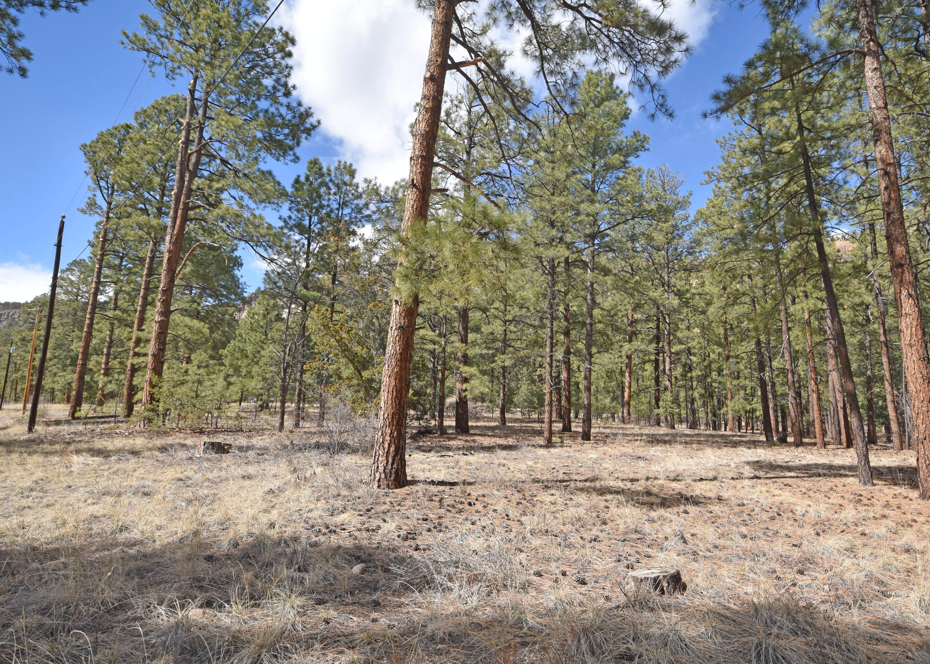 Photo 8 — Lot 49 A Cool Pines