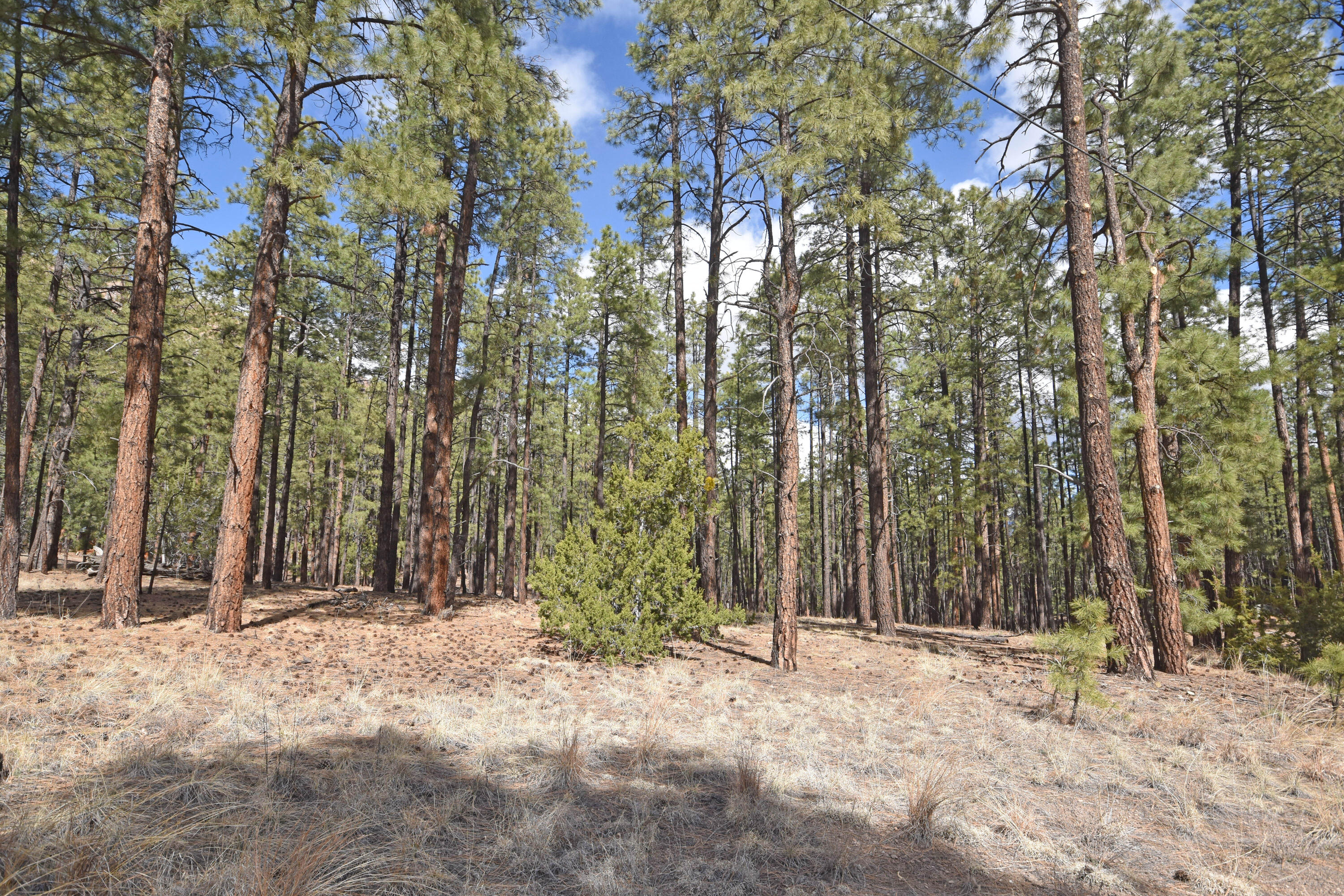 Photo 10 — Lot 49 A Cool Pines