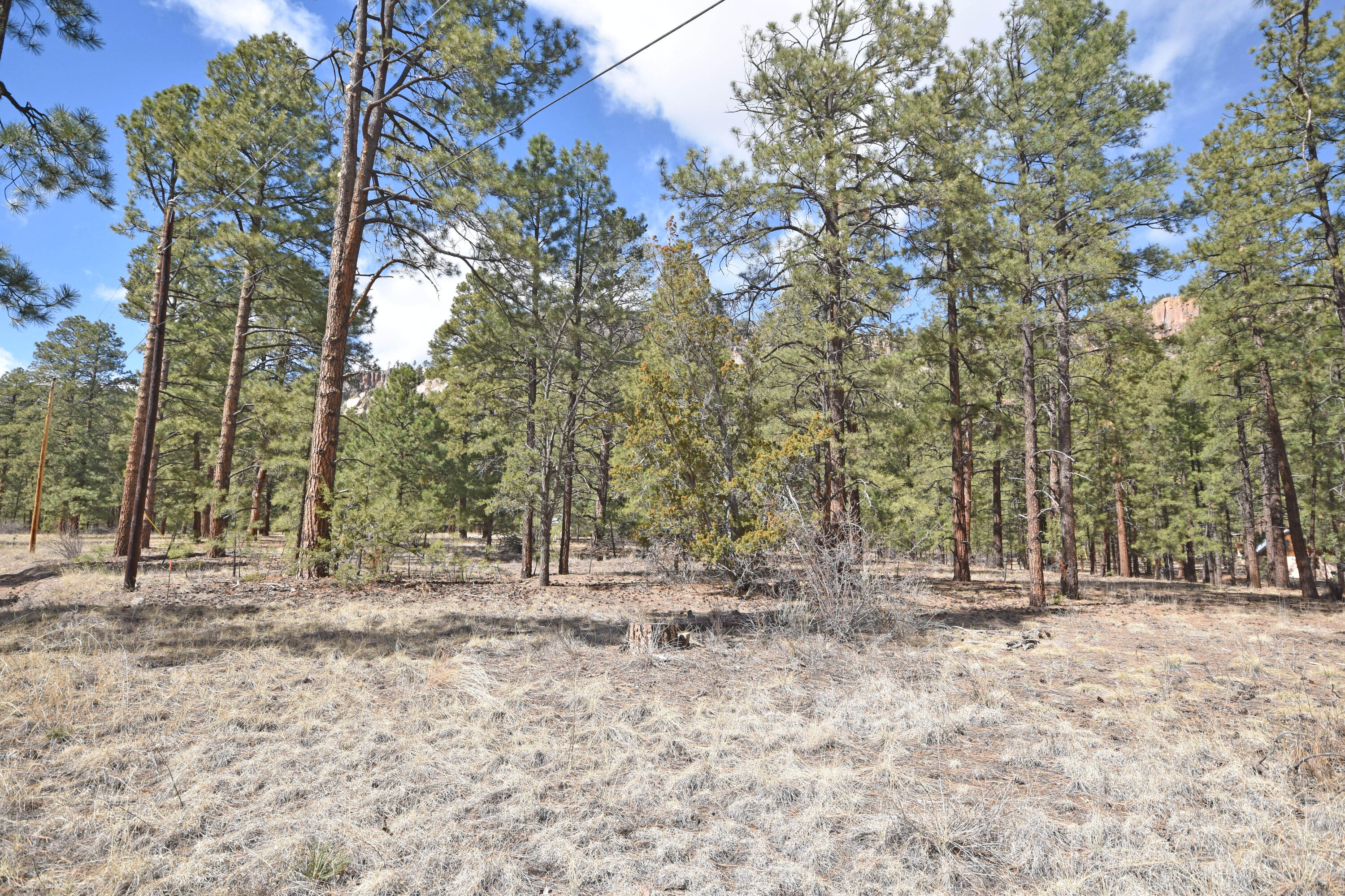 Photo 12 — Lot 49 A Cool Pines
