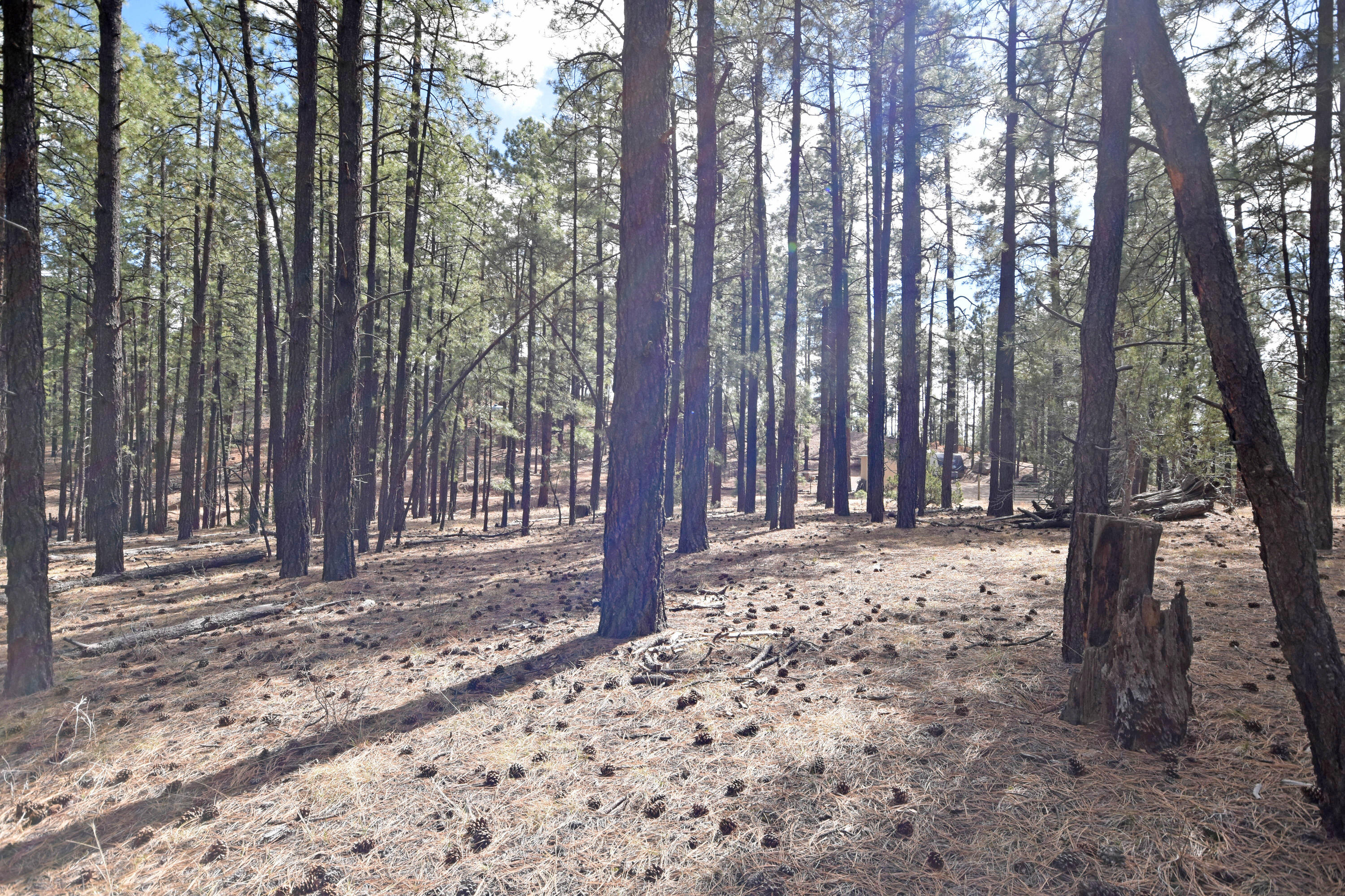 Photo 13 — Lot 49 A Cool Pines