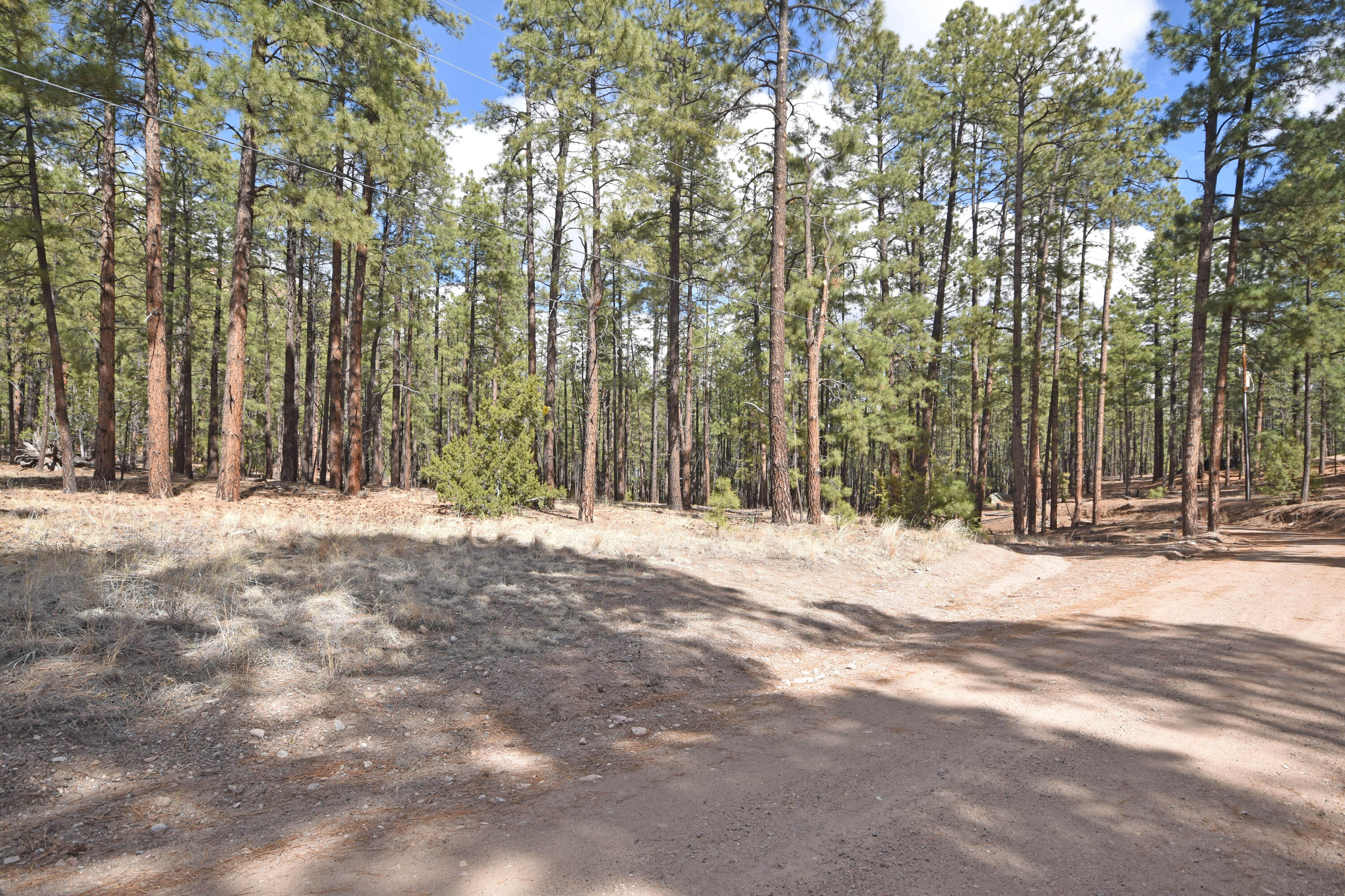 Photo 14 — Lot 49 A Cool Pines
