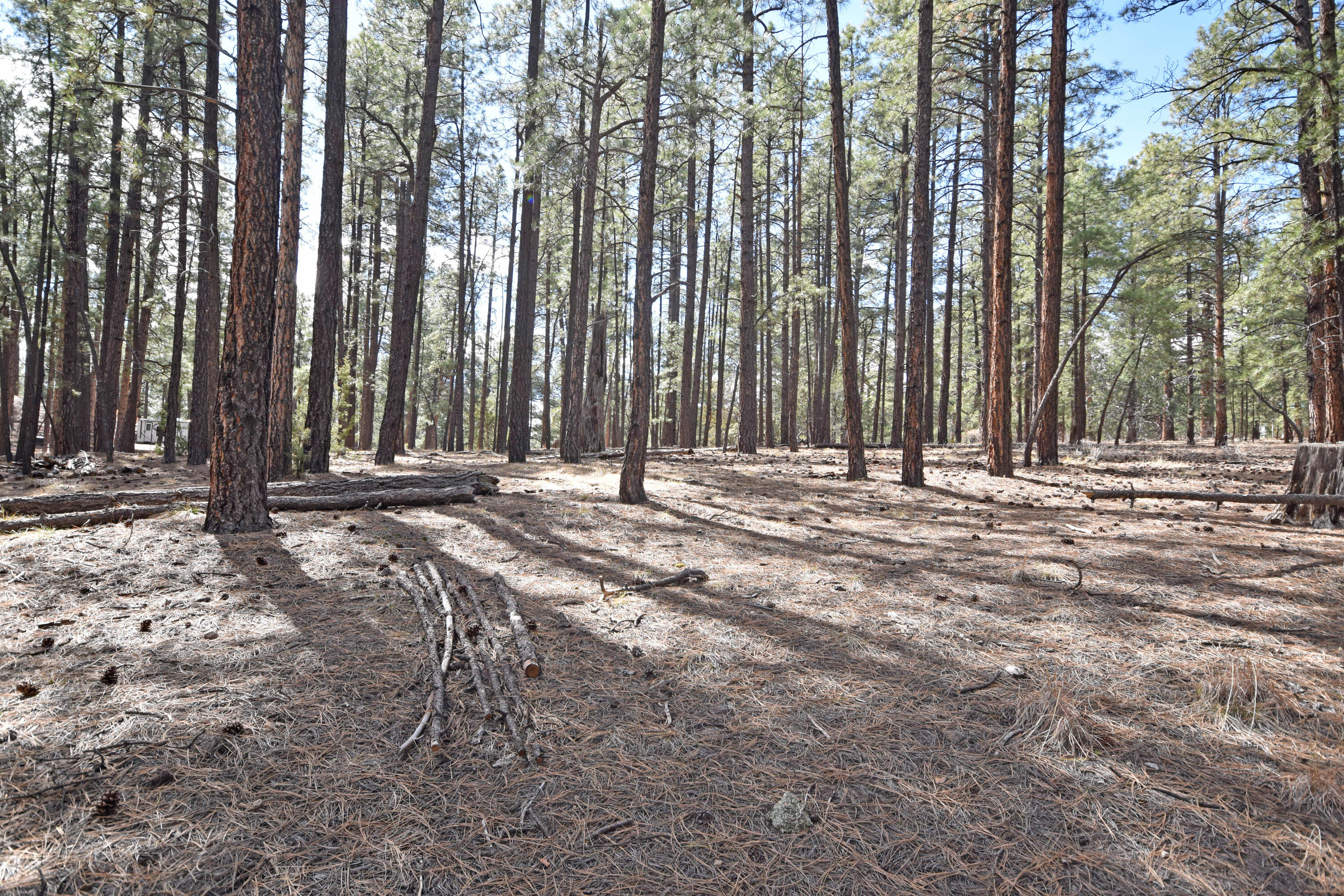 Photo 2 — Lot 49 A Cool Pines