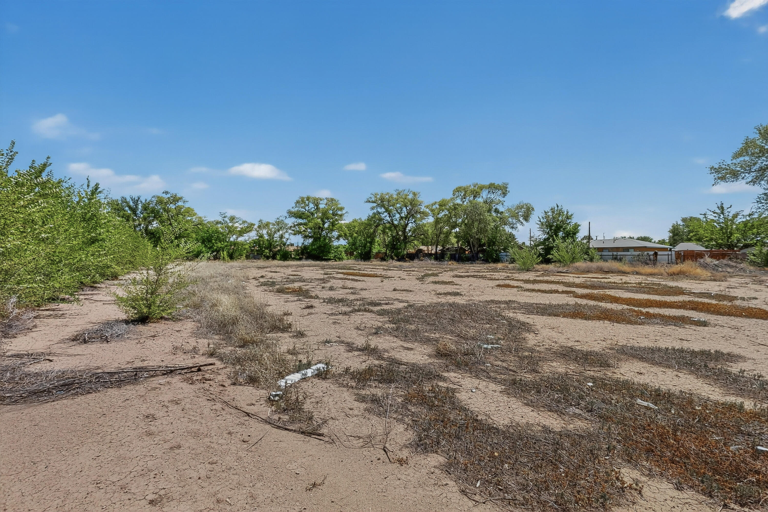 Photo 14 — 1604 Juan Perea Road