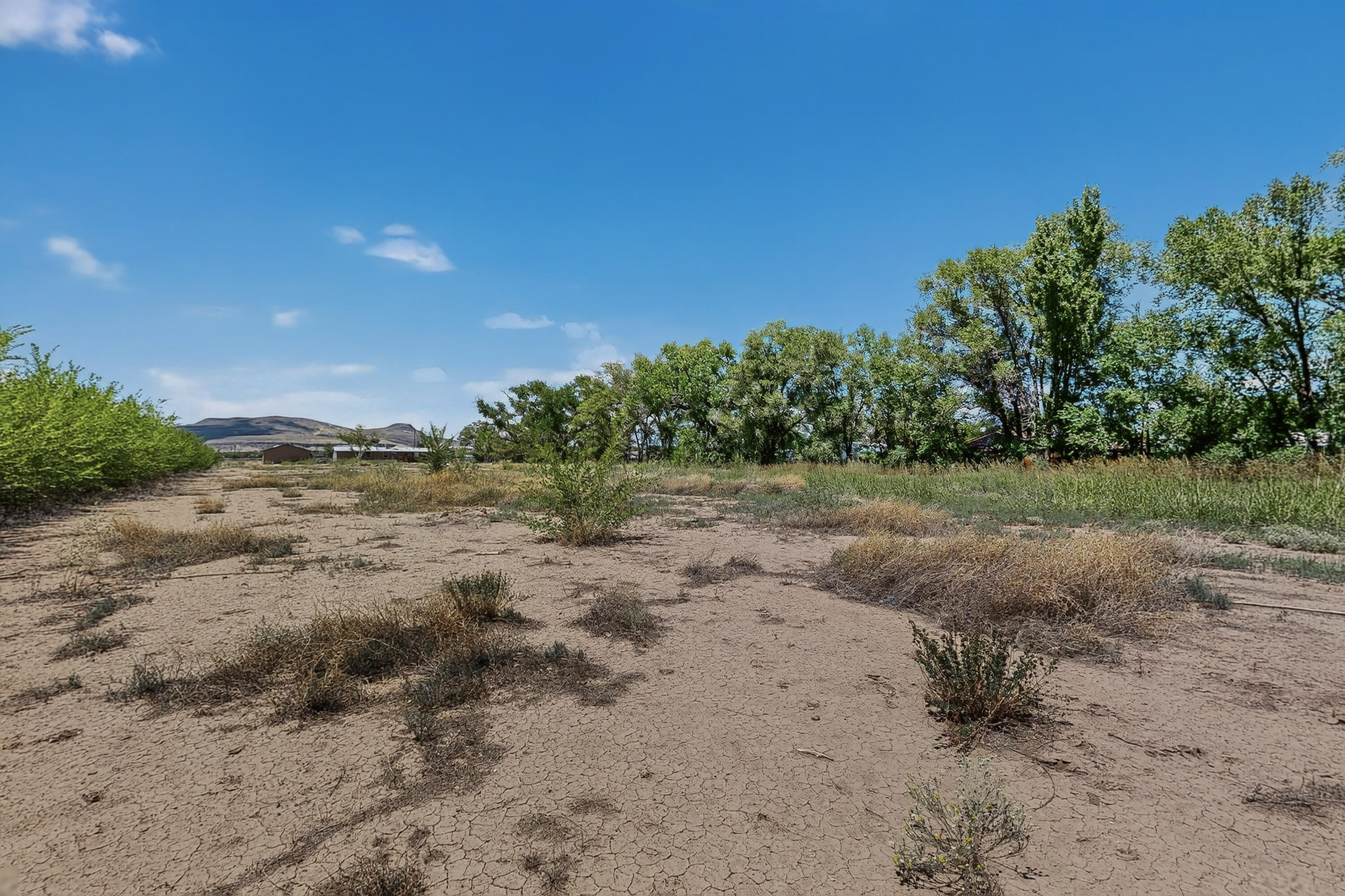 Photo 13 — 1604 Juan Perea Road