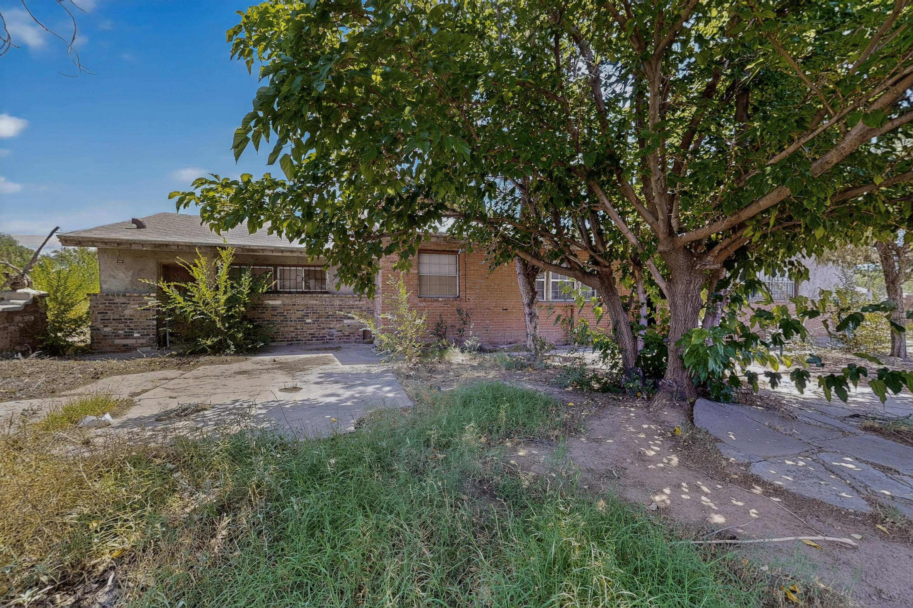 Photo 12 — 1604 Juan Perea Road