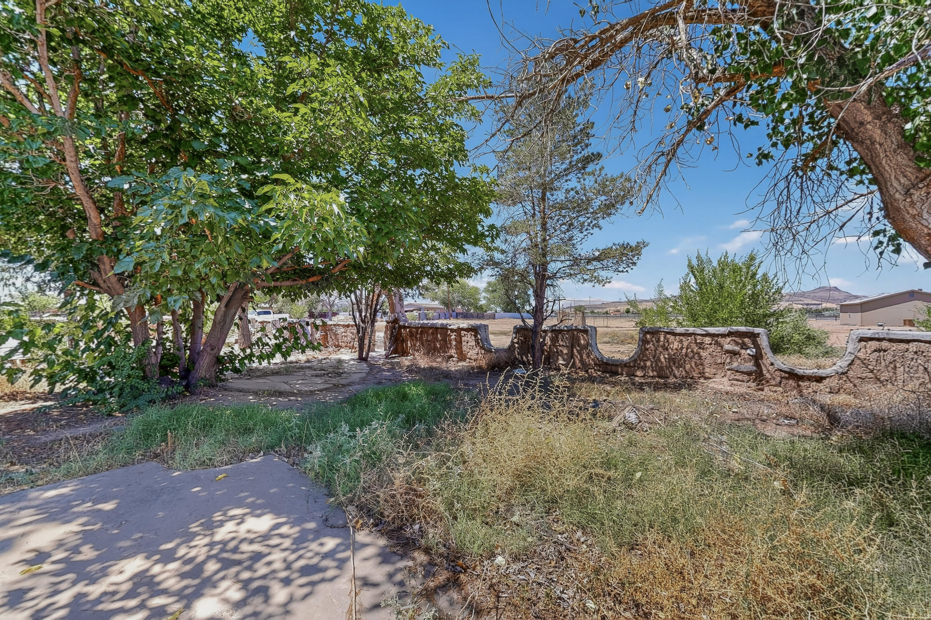 Photo 8 — 1604 Juan Perea Road