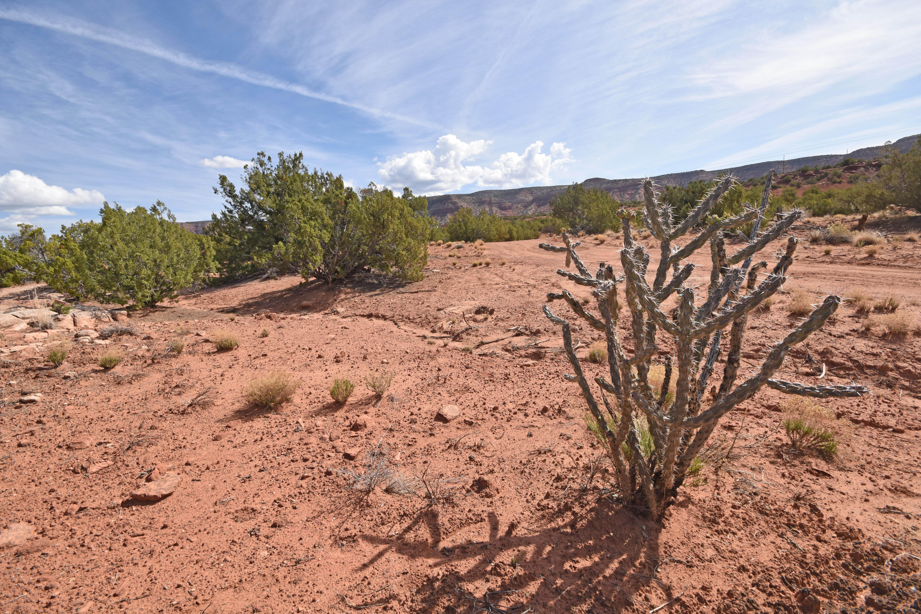 Photo 19 — Lot 16 Unit 2 Jemez Canyon Estates