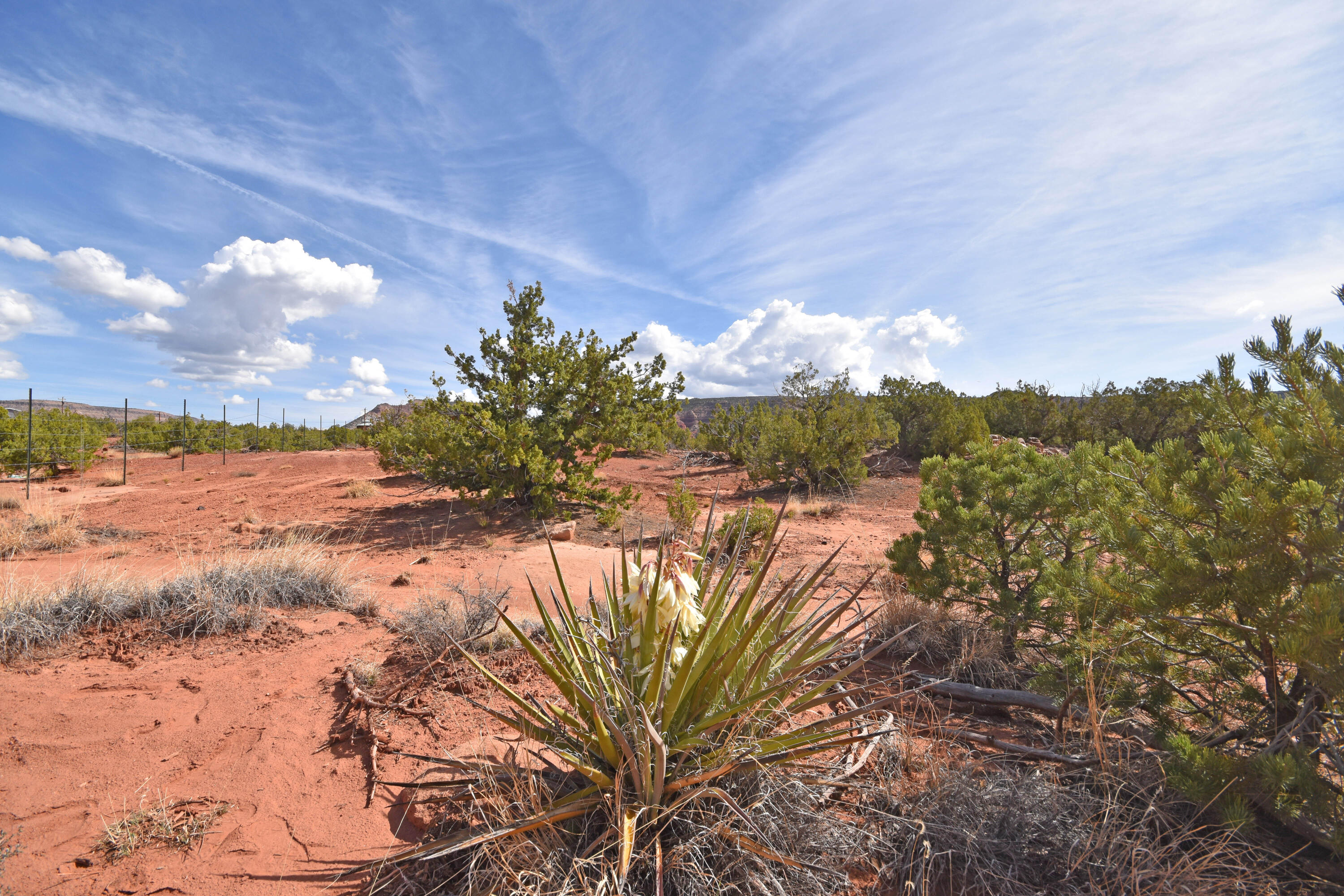 Photo 17 — Lot 16 Unit 2 Jemez Canyon Estates