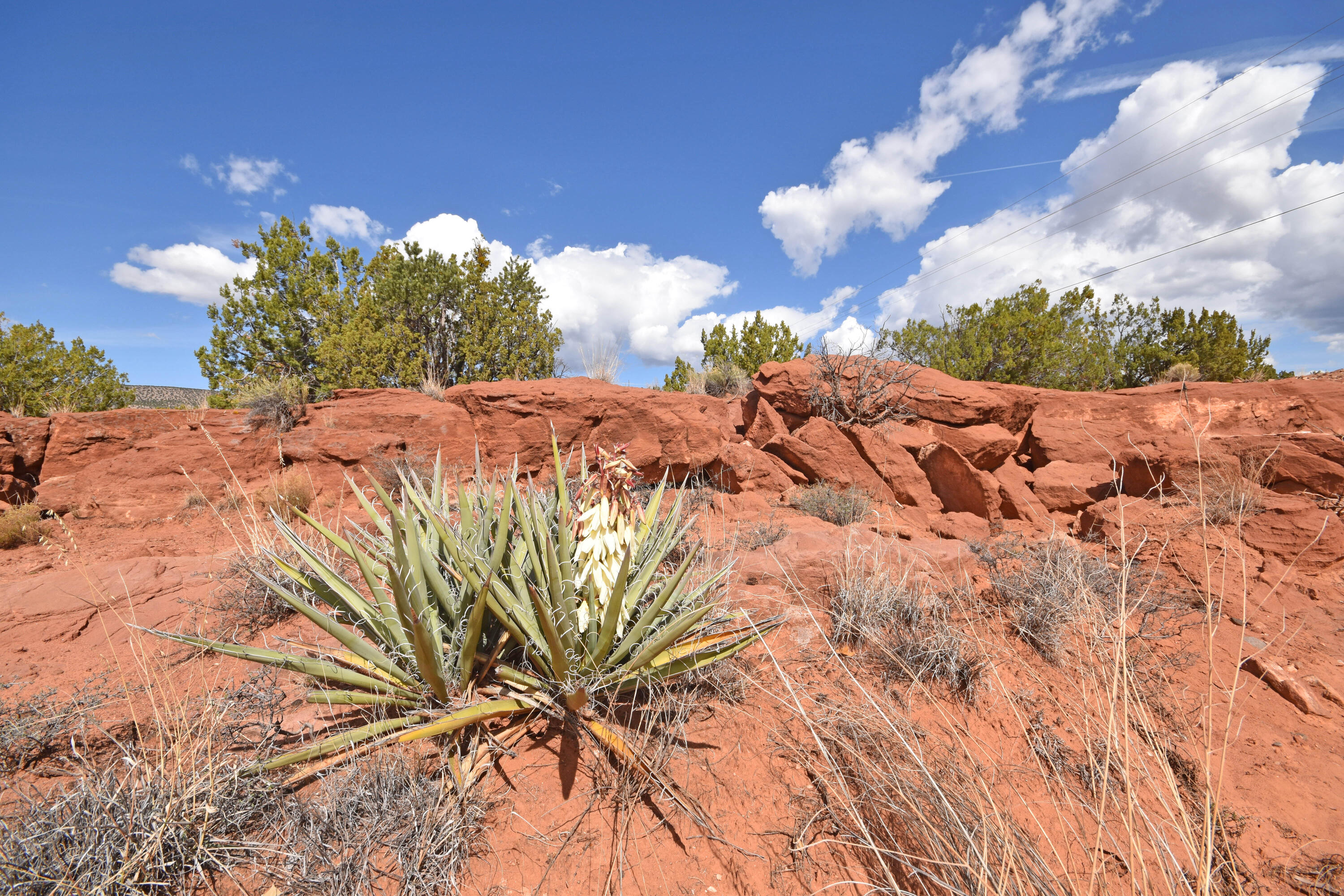 Photo 15 — Lot 16 Unit 2 Jemez Canyon Estates