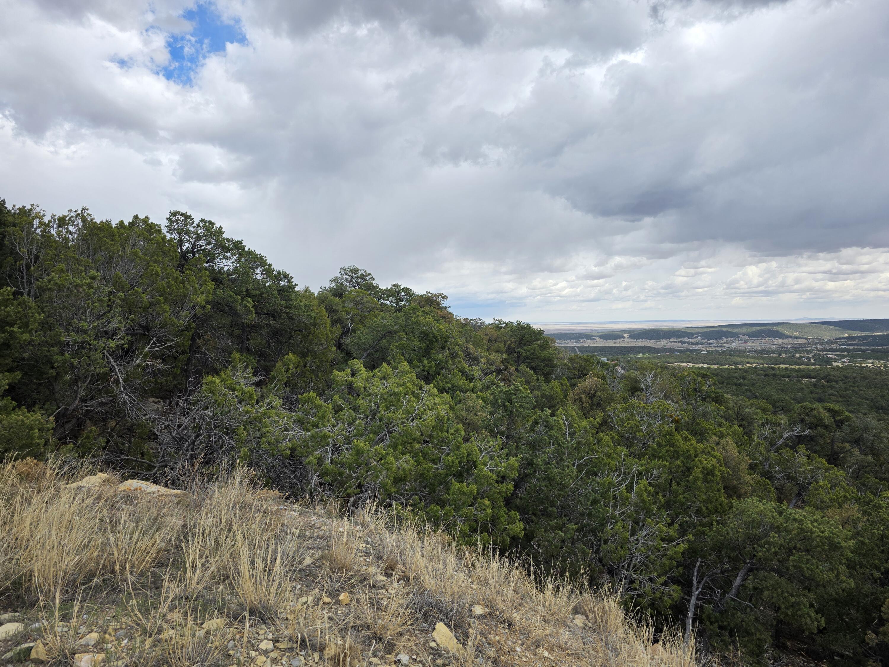 196 Via Sedillo Road, Tijeras, NM 87059