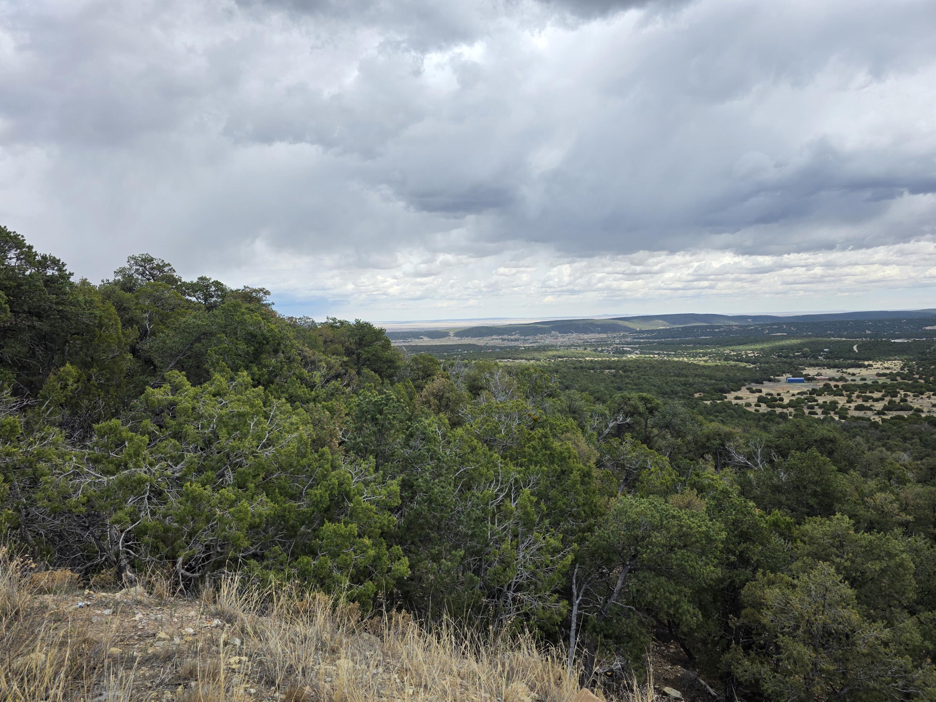 Photo 4 — 196 Via Sedillo Road