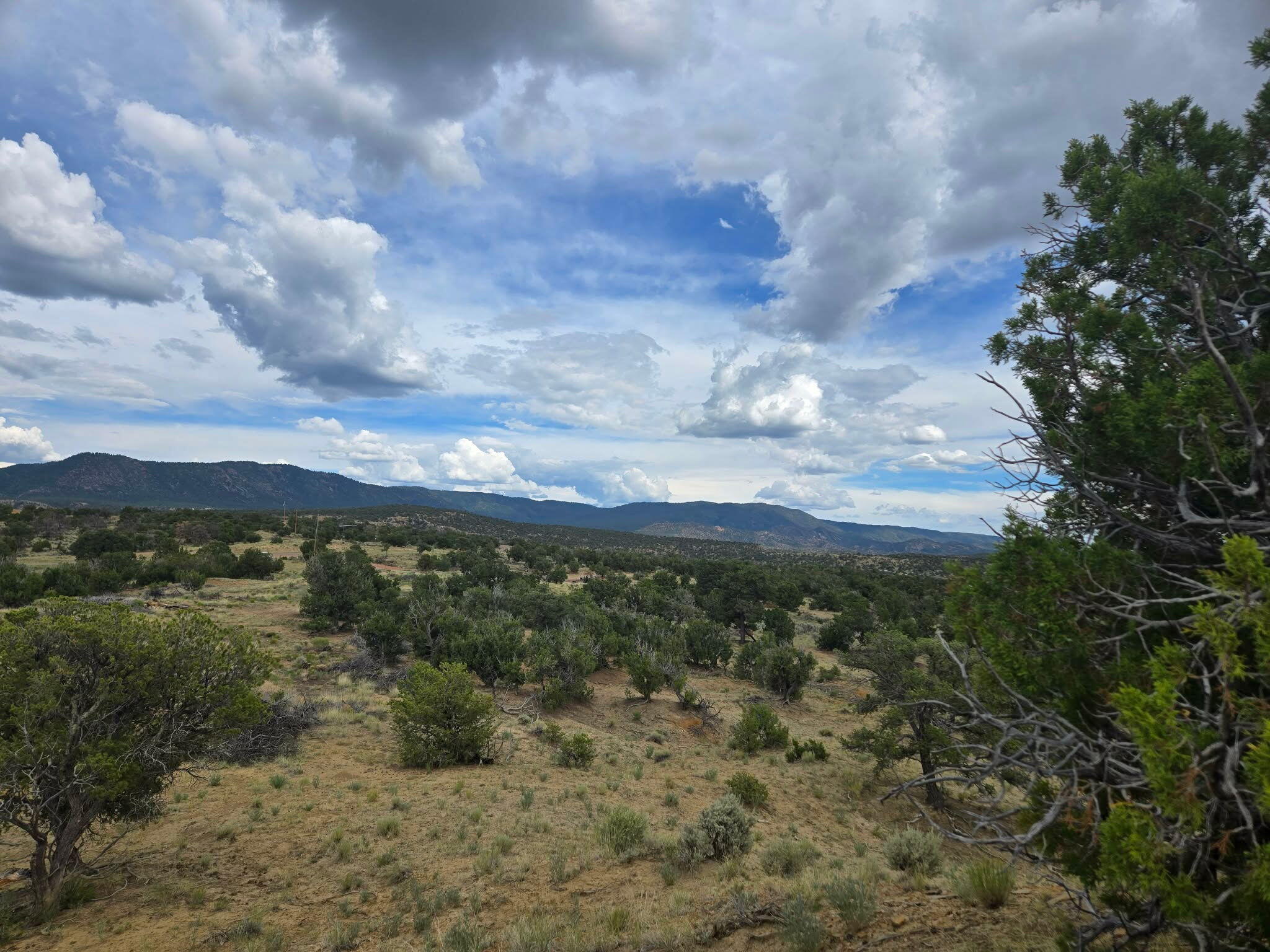 469 Co Rd 11