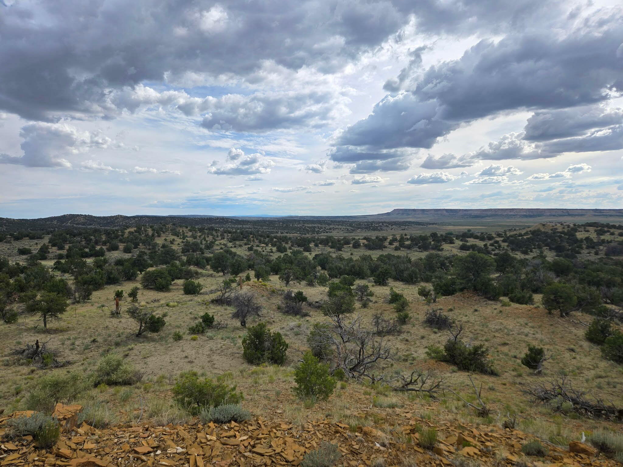 Photo 2 — 469 Co Rd 11