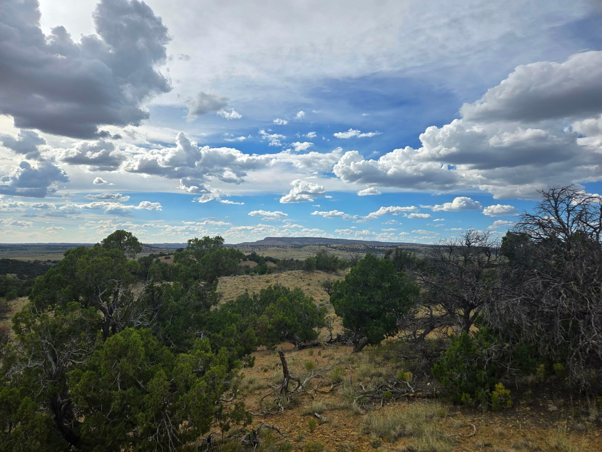 Photo 3 — 469 Co Rd 11
