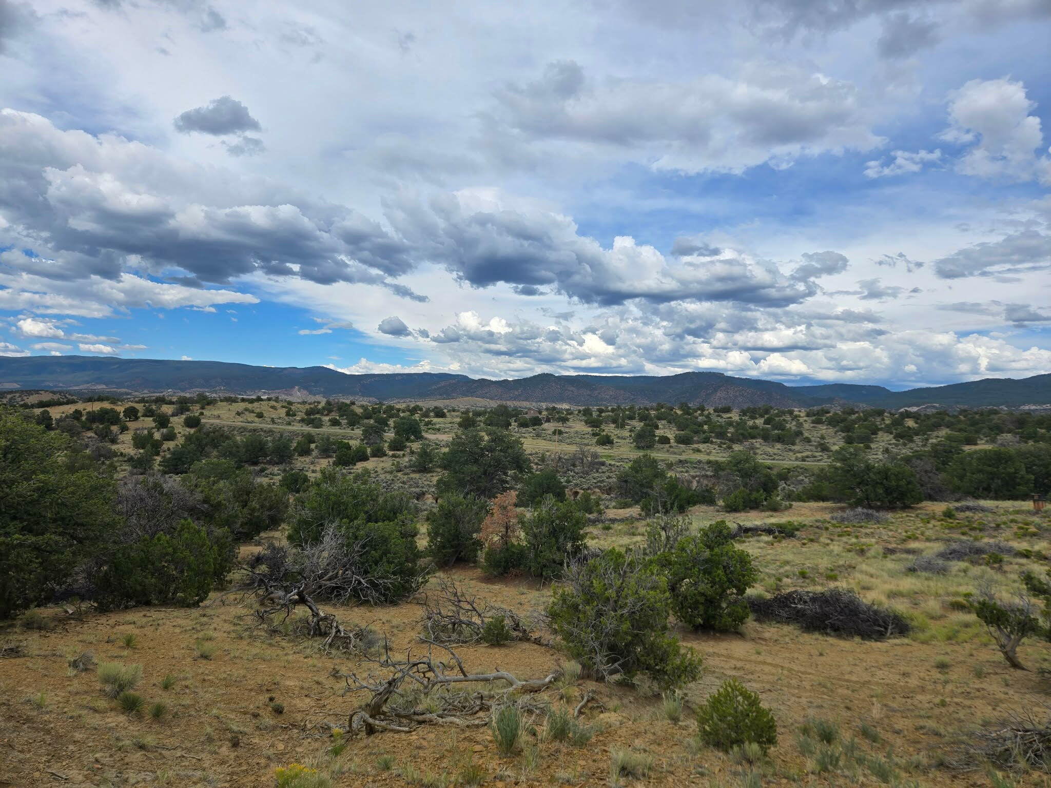 Photo 4 — 469 Co Rd 11
