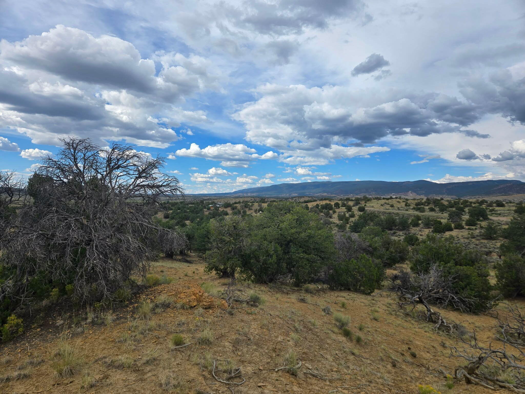 Photo 5 — 469 Co Rd 11
