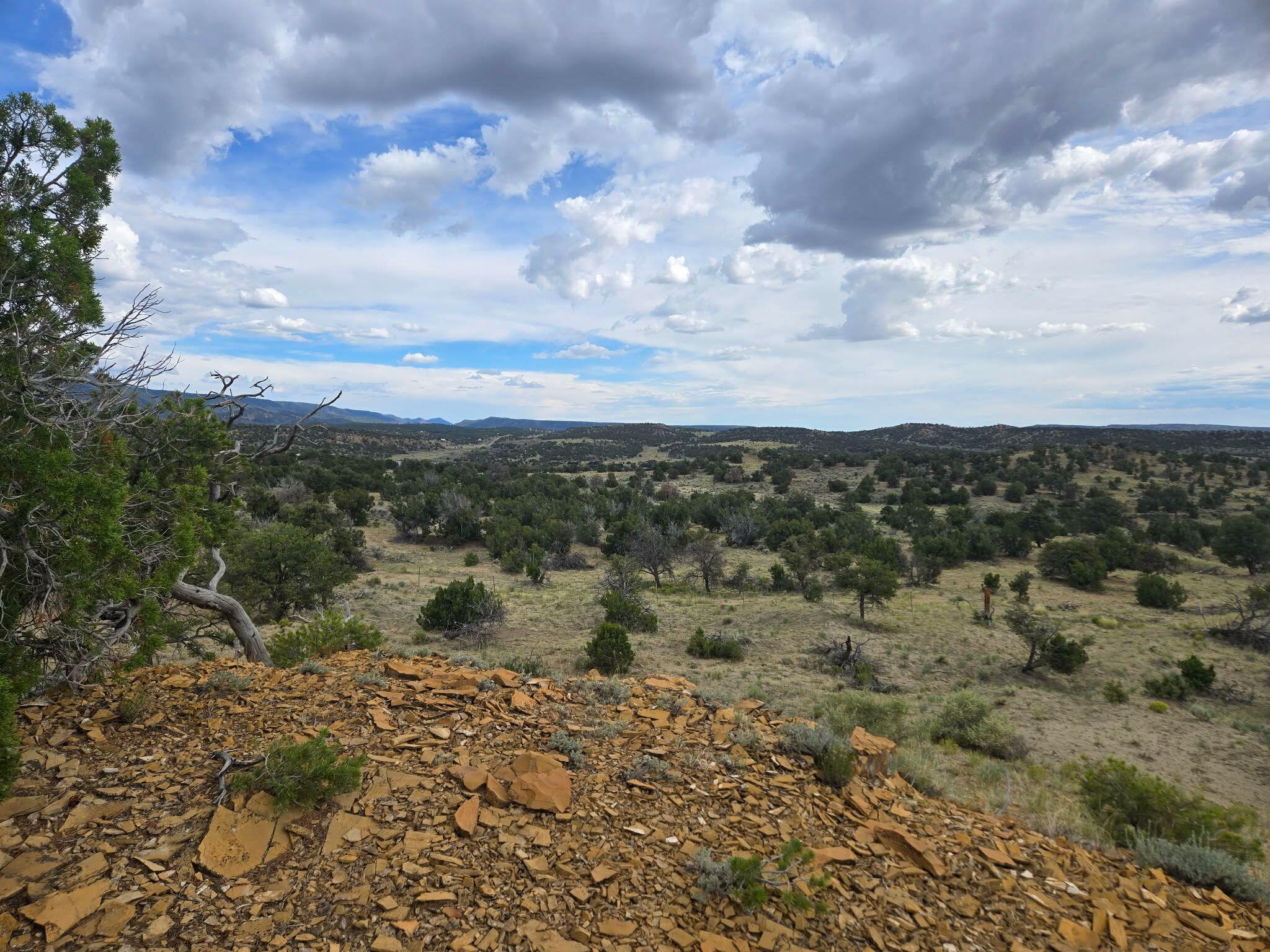 Photo 6 — 469 Co Rd 11