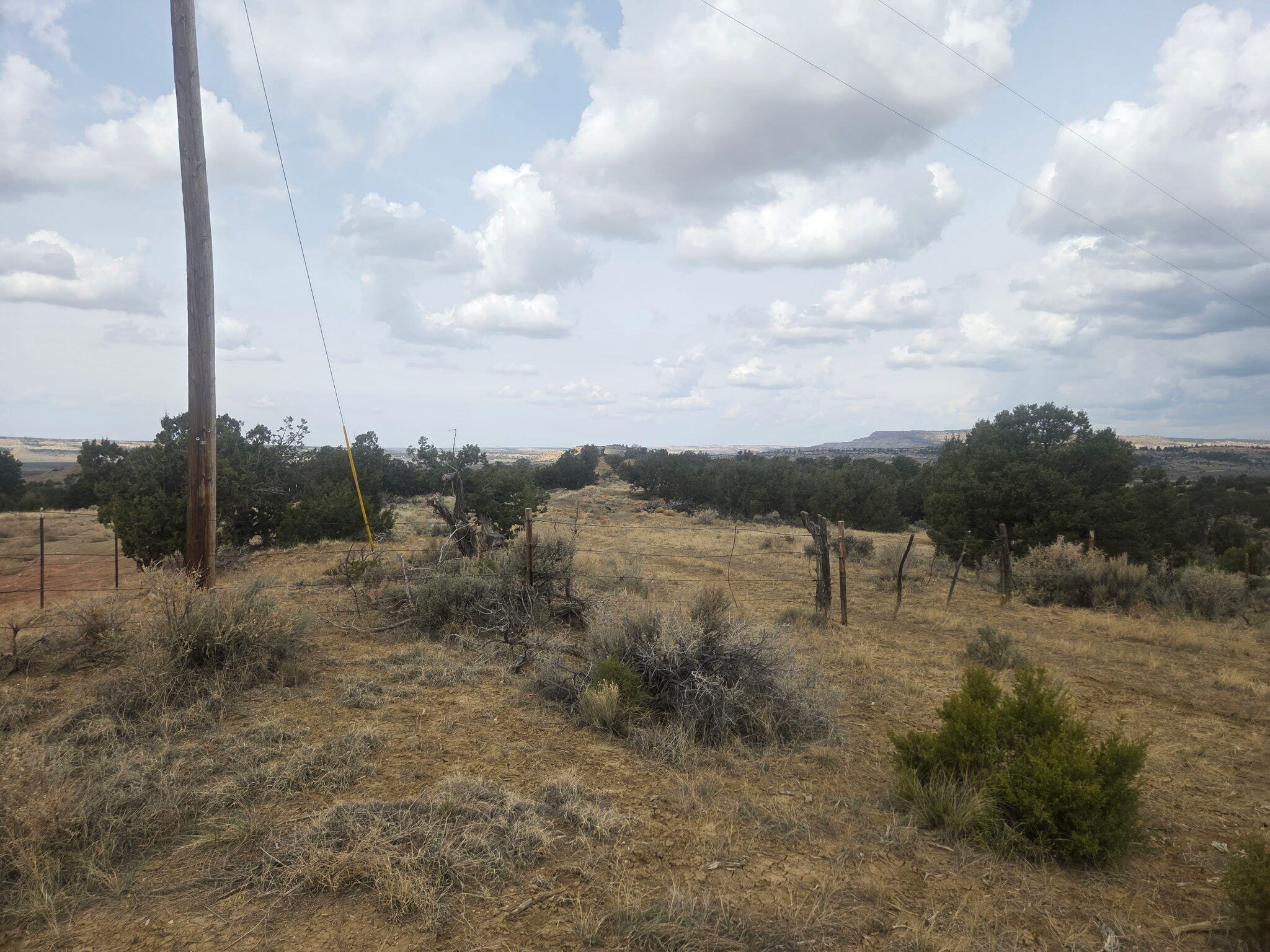 Photo 9 — 469 Co Rd 11