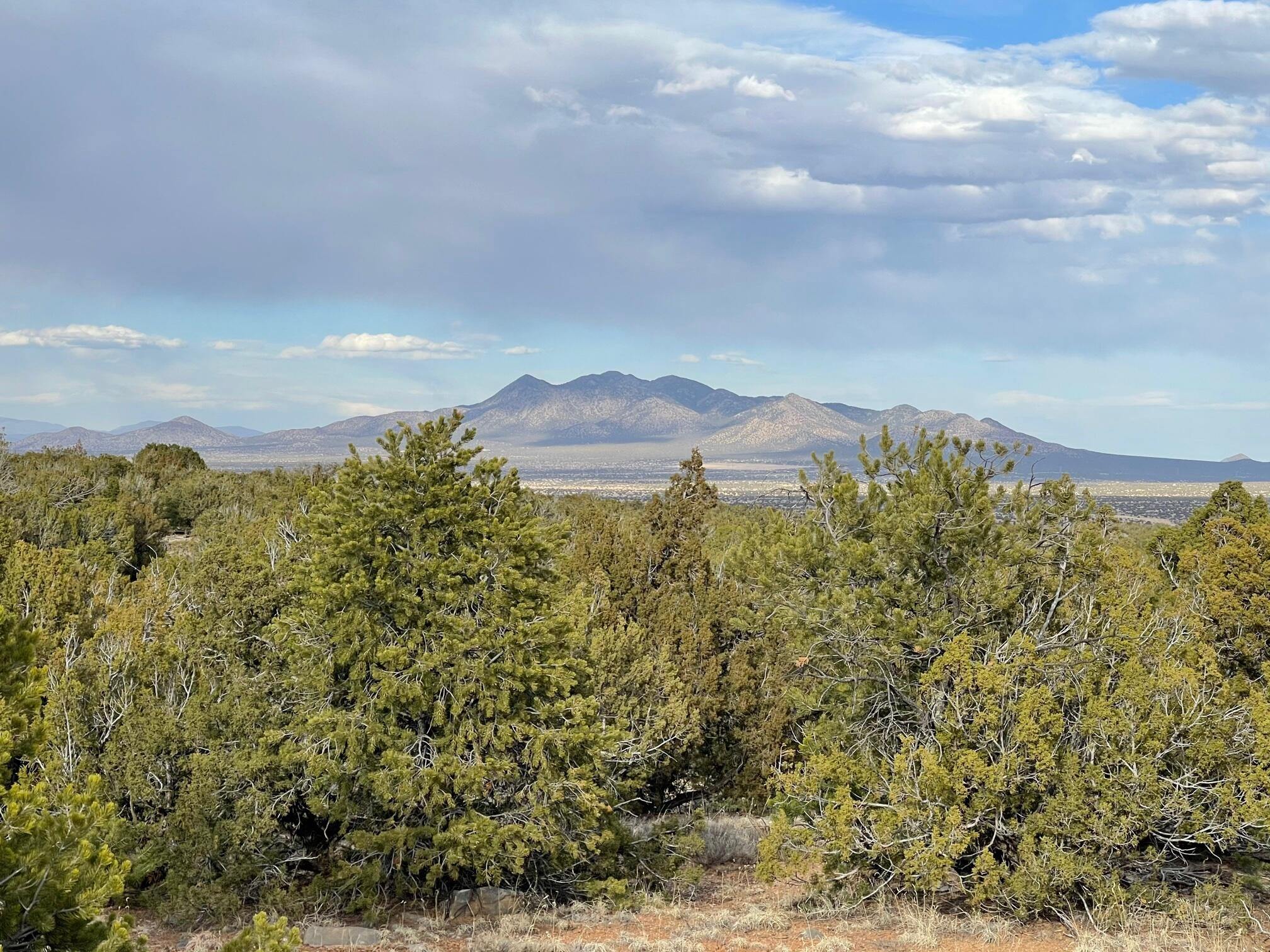 1 Arroyo Bonito, Sandia Park, NM 87047