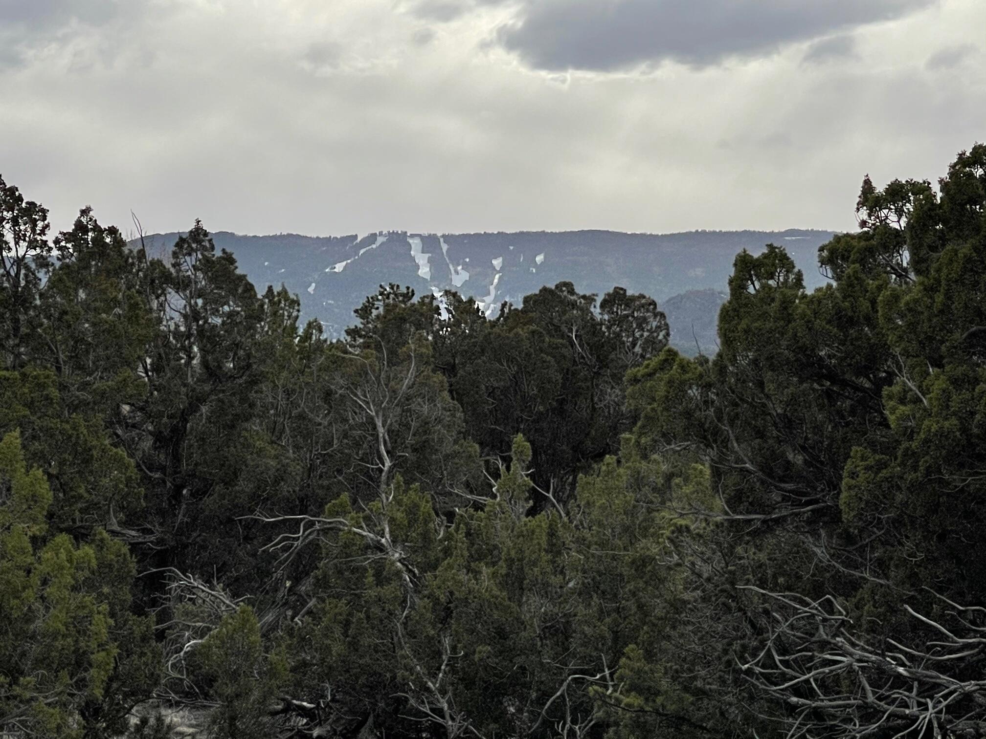 Photo 14 — 1 Arroyo Bonito