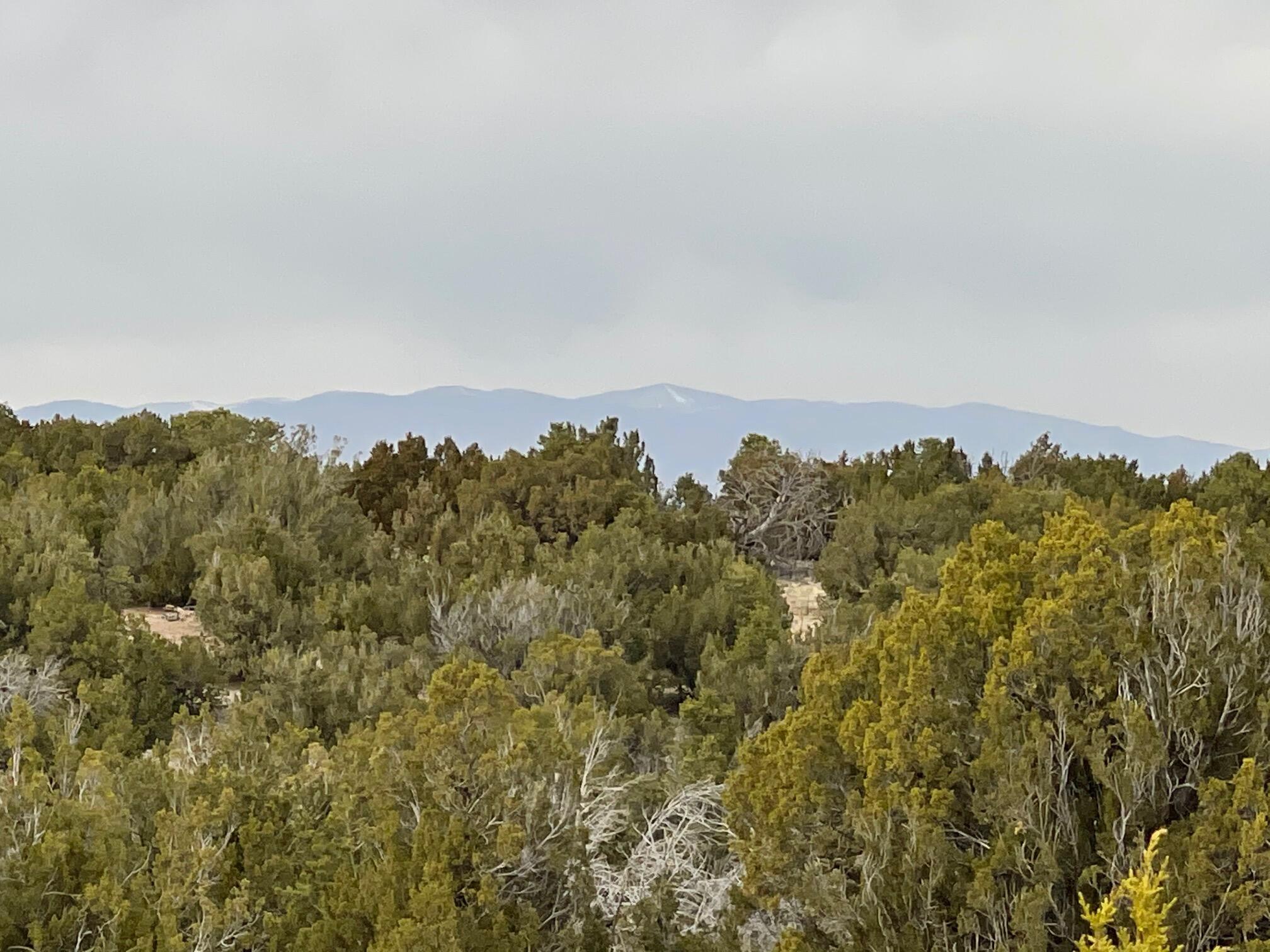 Photo 17 — 1 Arroyo Bonito