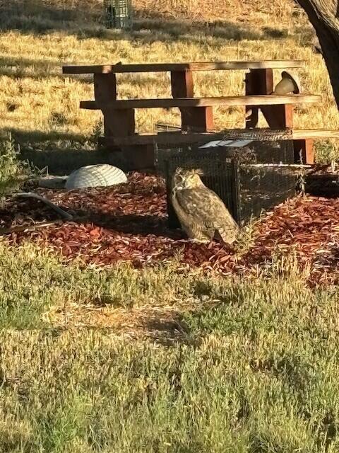 Photo 7 — 100 Bluegrass S Road