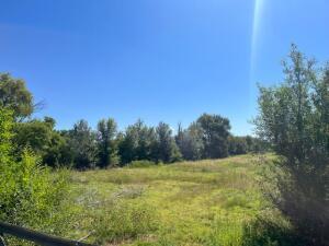 Photo 2 — 806 Gabaldon Road