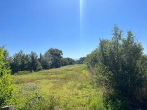 Photo 3 — 806 Gabaldon Road