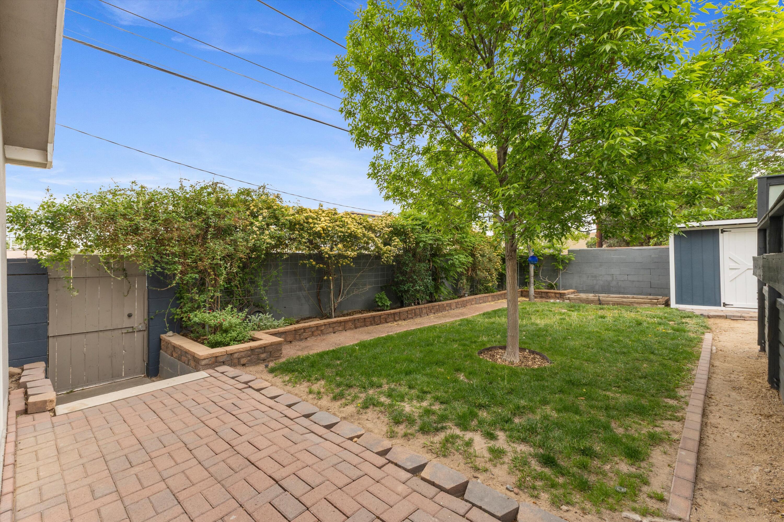 Photo 3 — 1513 Dartmouth Drive NE