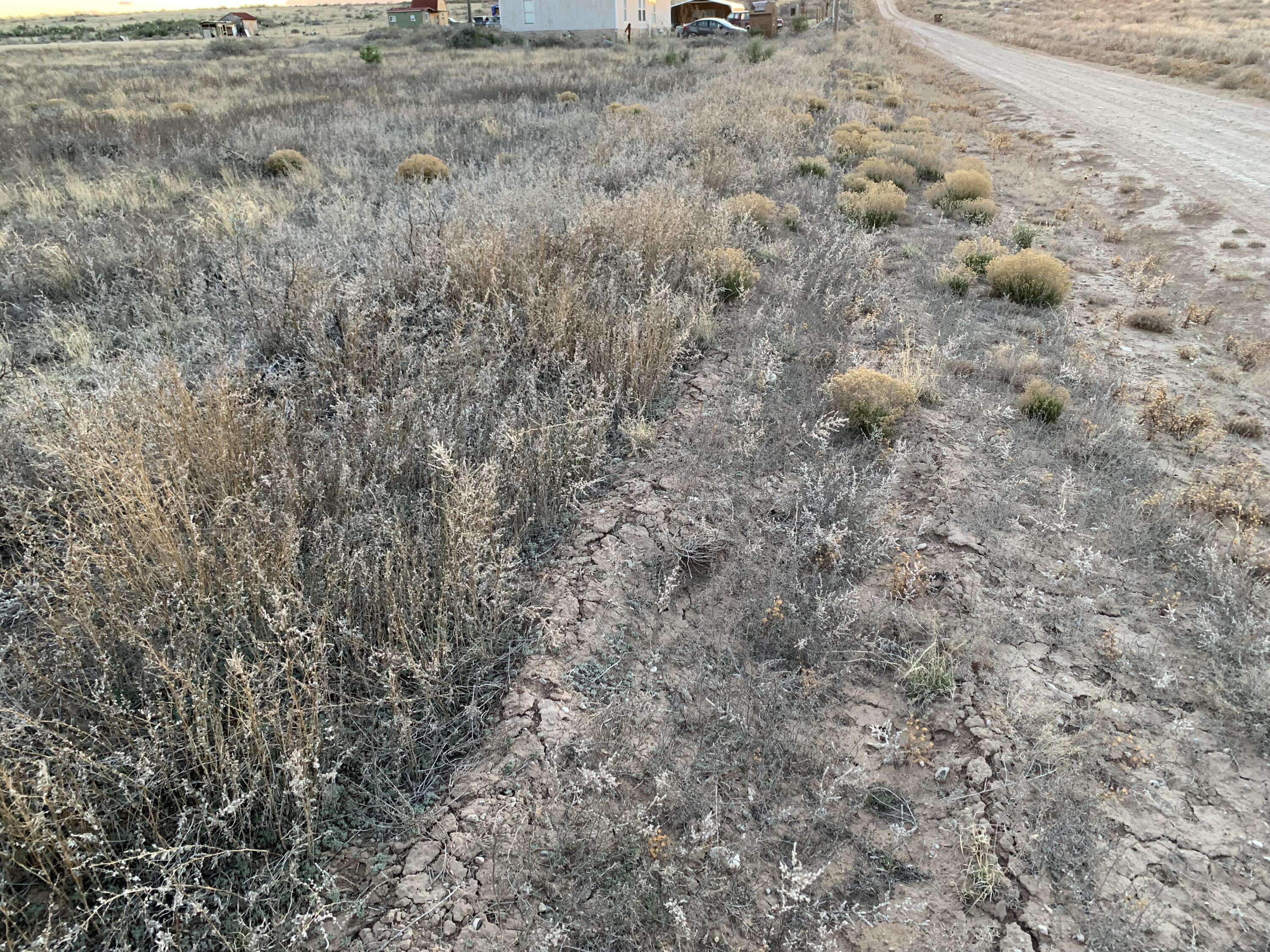 Photo 3 —  Esperanza - Lots 6-8 Avenue