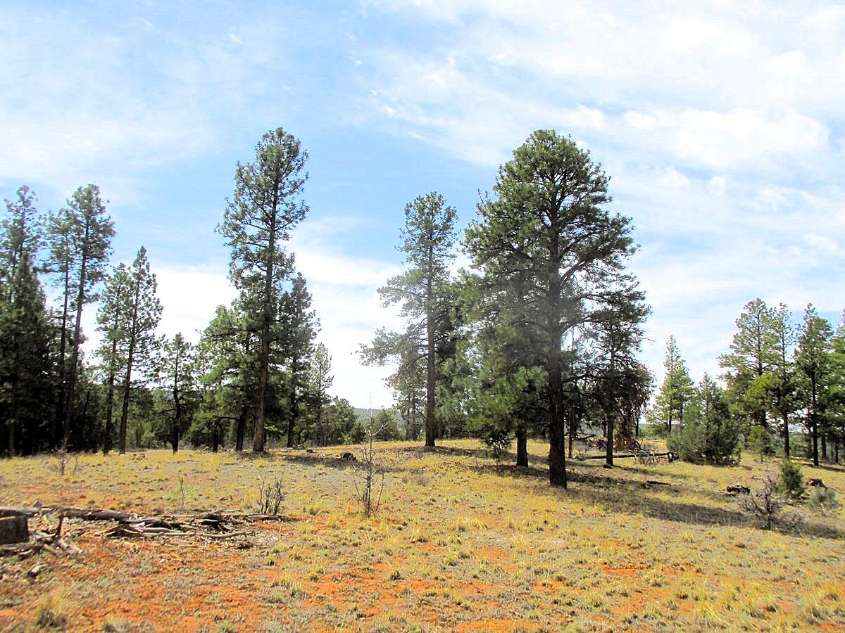  Forest Road 157