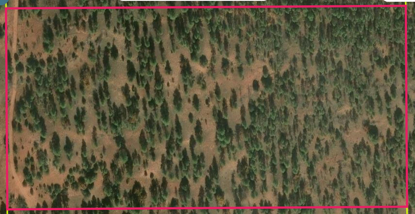 Photo 5 —  Forest Road 157