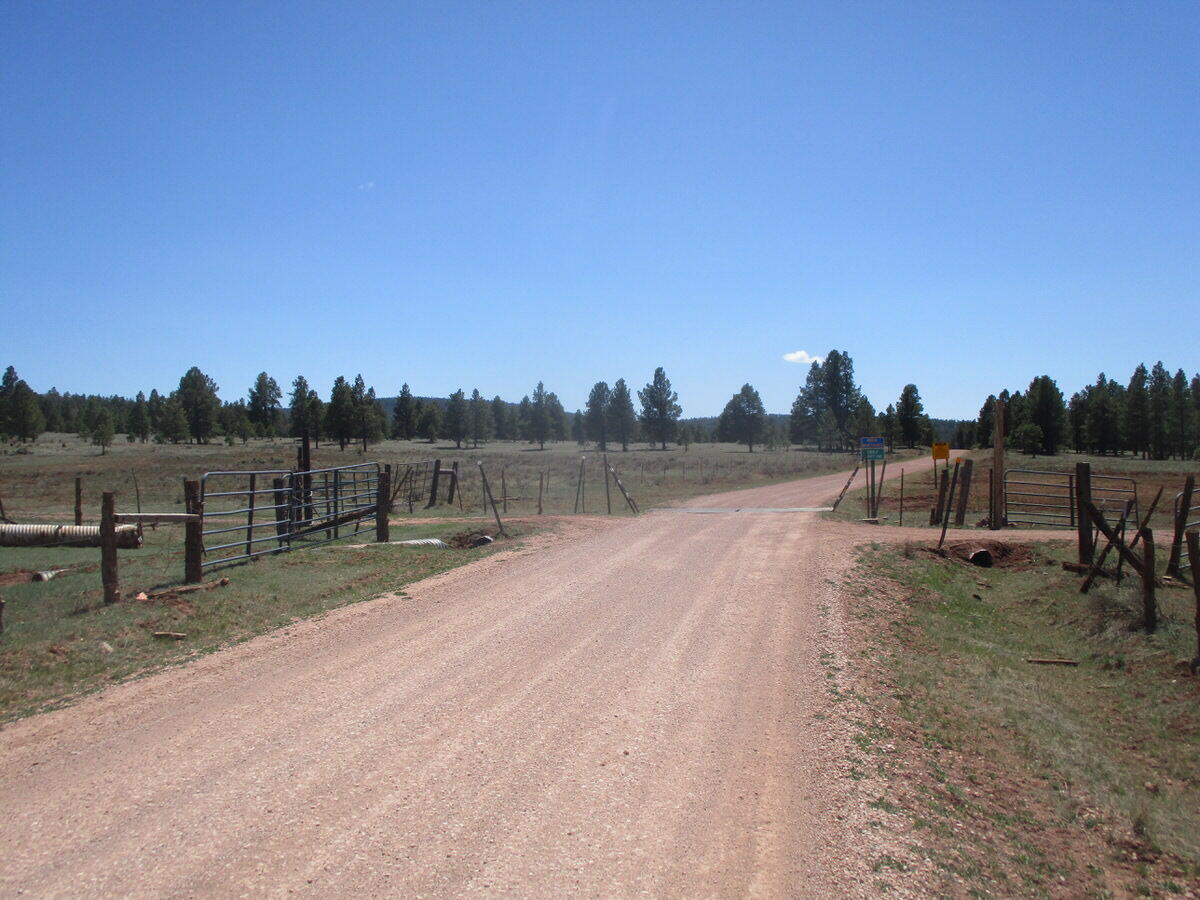 Photo 8 —  Forest Road 157
