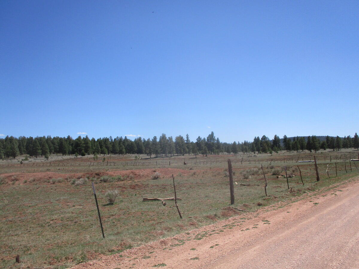 Photo 9 —  Forest Road 157