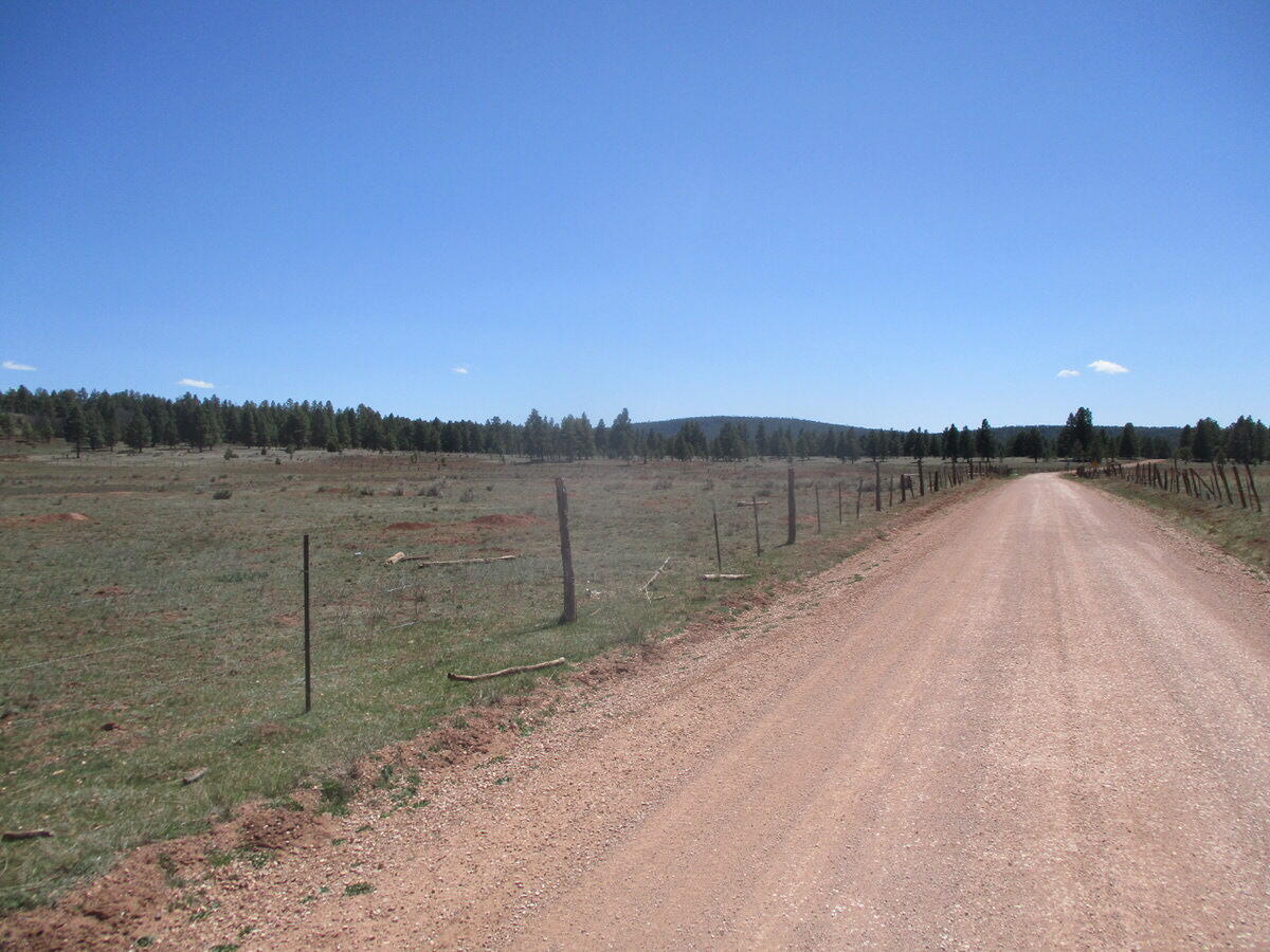 Photo 11 —  Forest Road 157