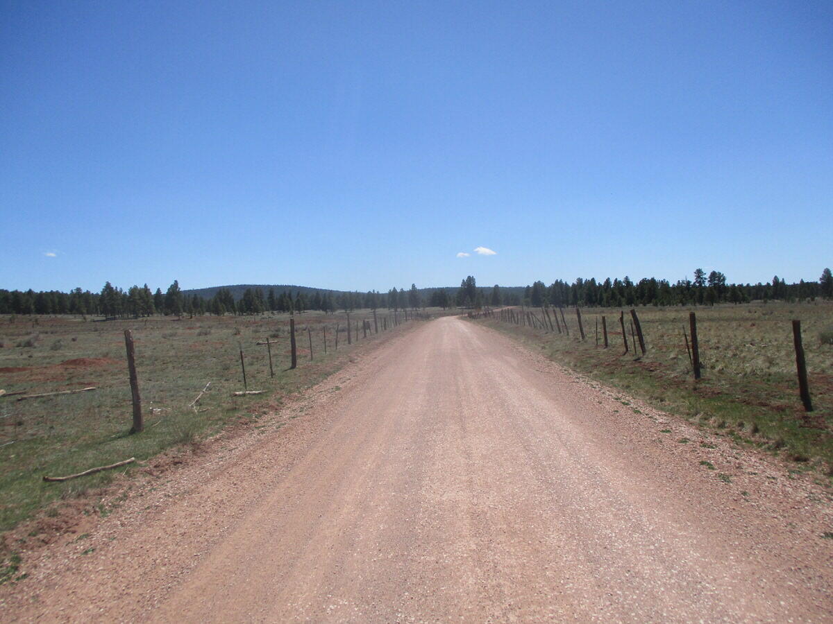 Photo 12 —  Forest Road 157