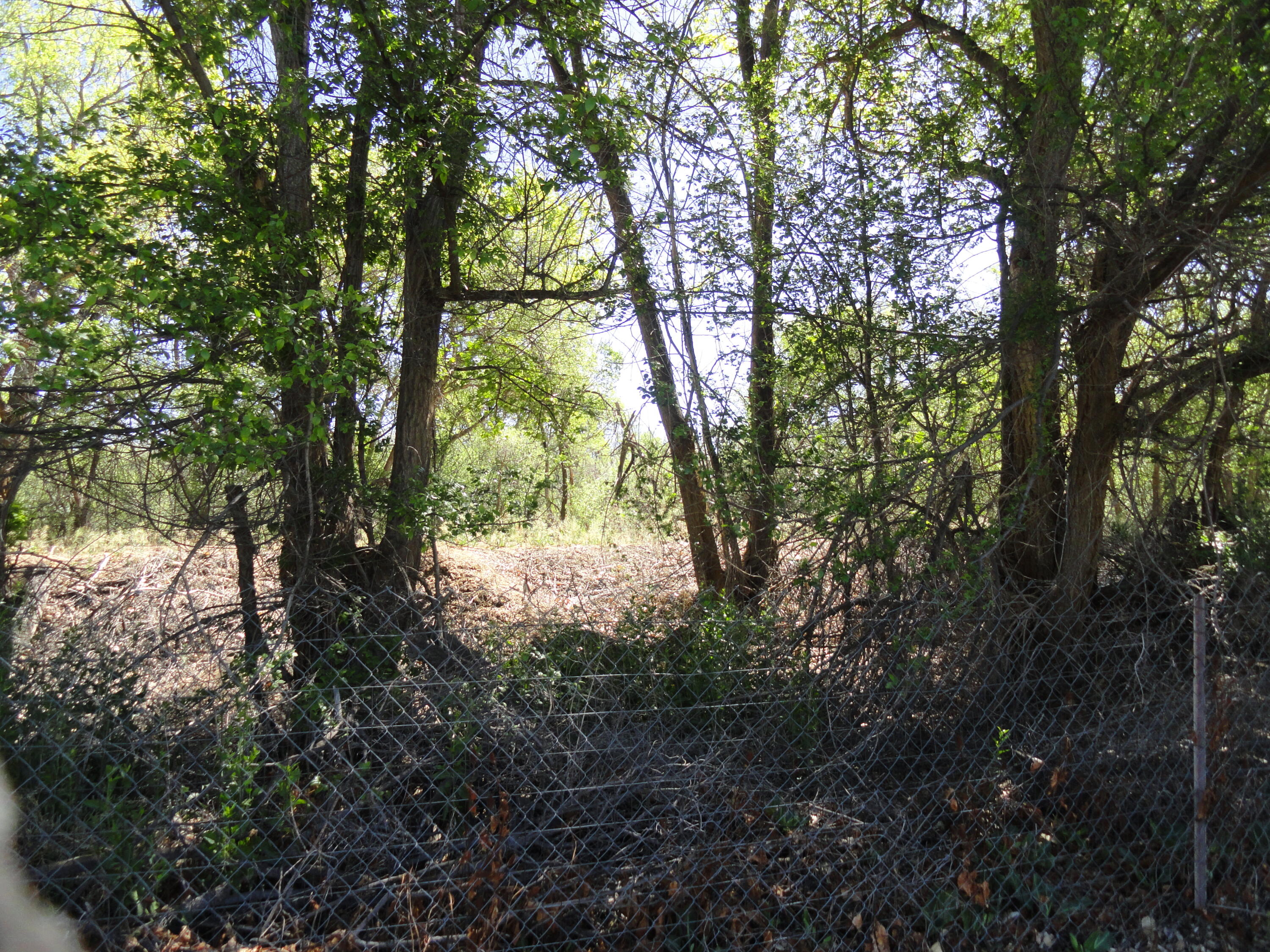 Photo 10 — 468 Diana Drive NE