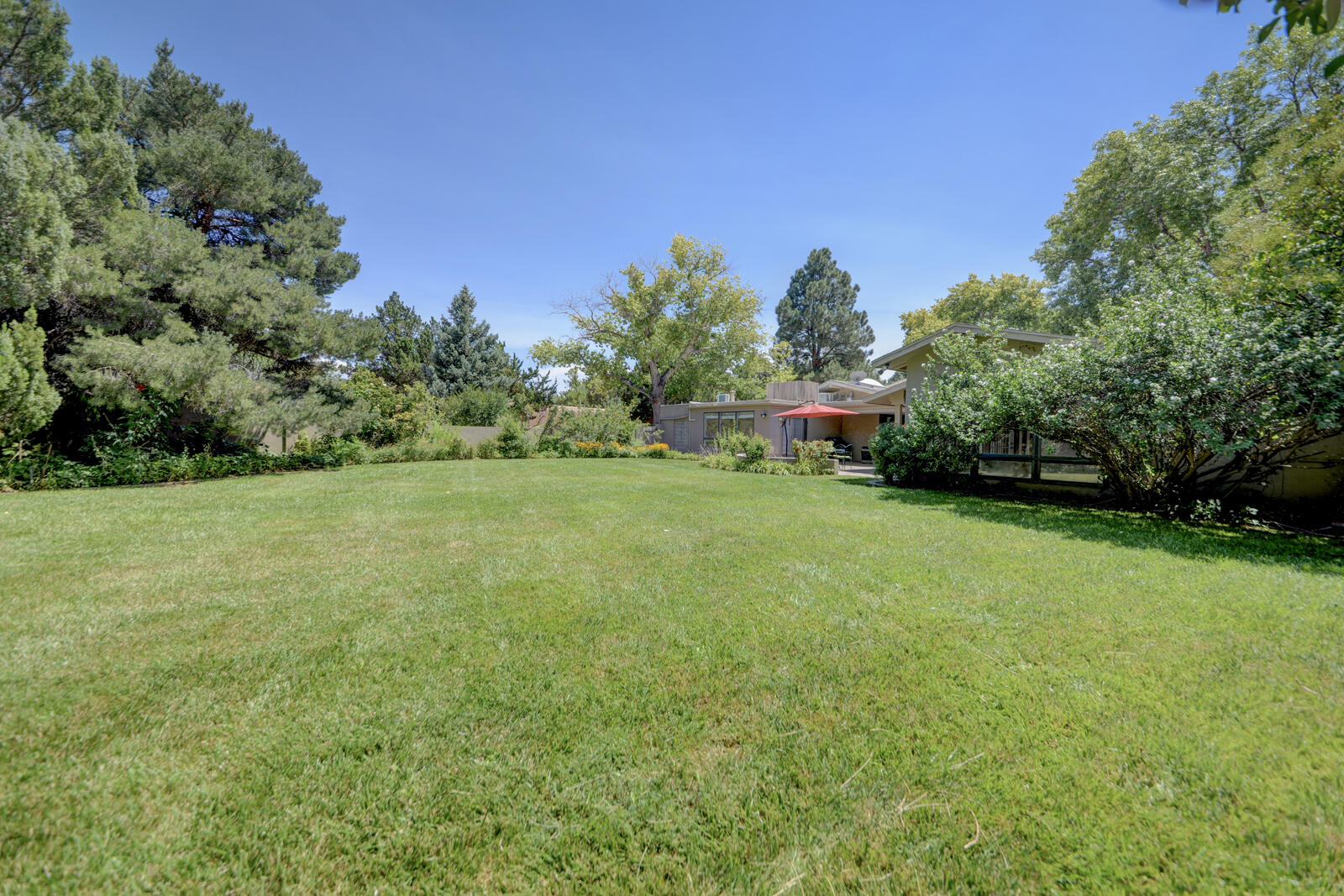 Photo 6 — 1116 Salamanca Street NW