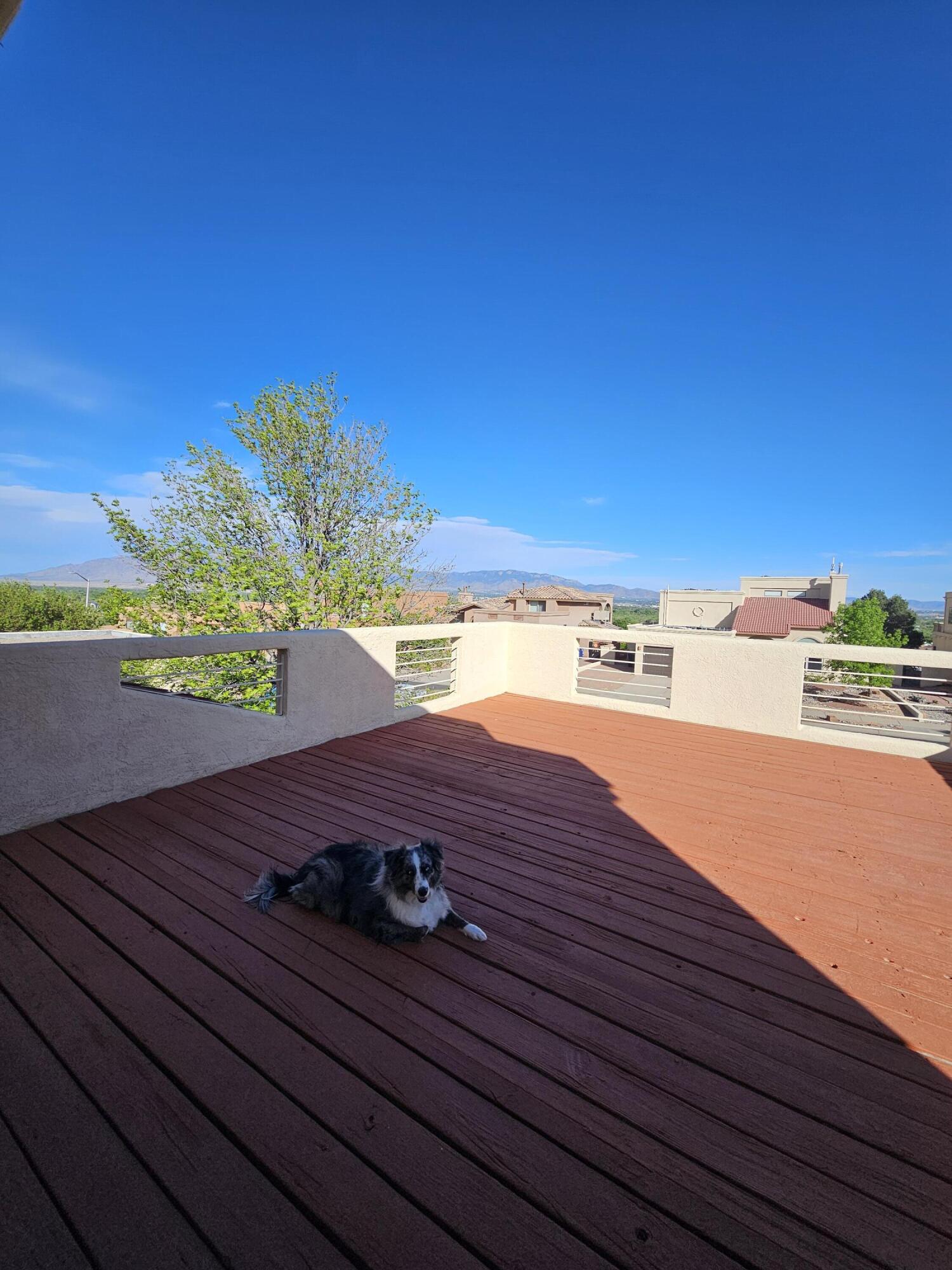 Photo 5 — 6329 Mesquite Drive NW