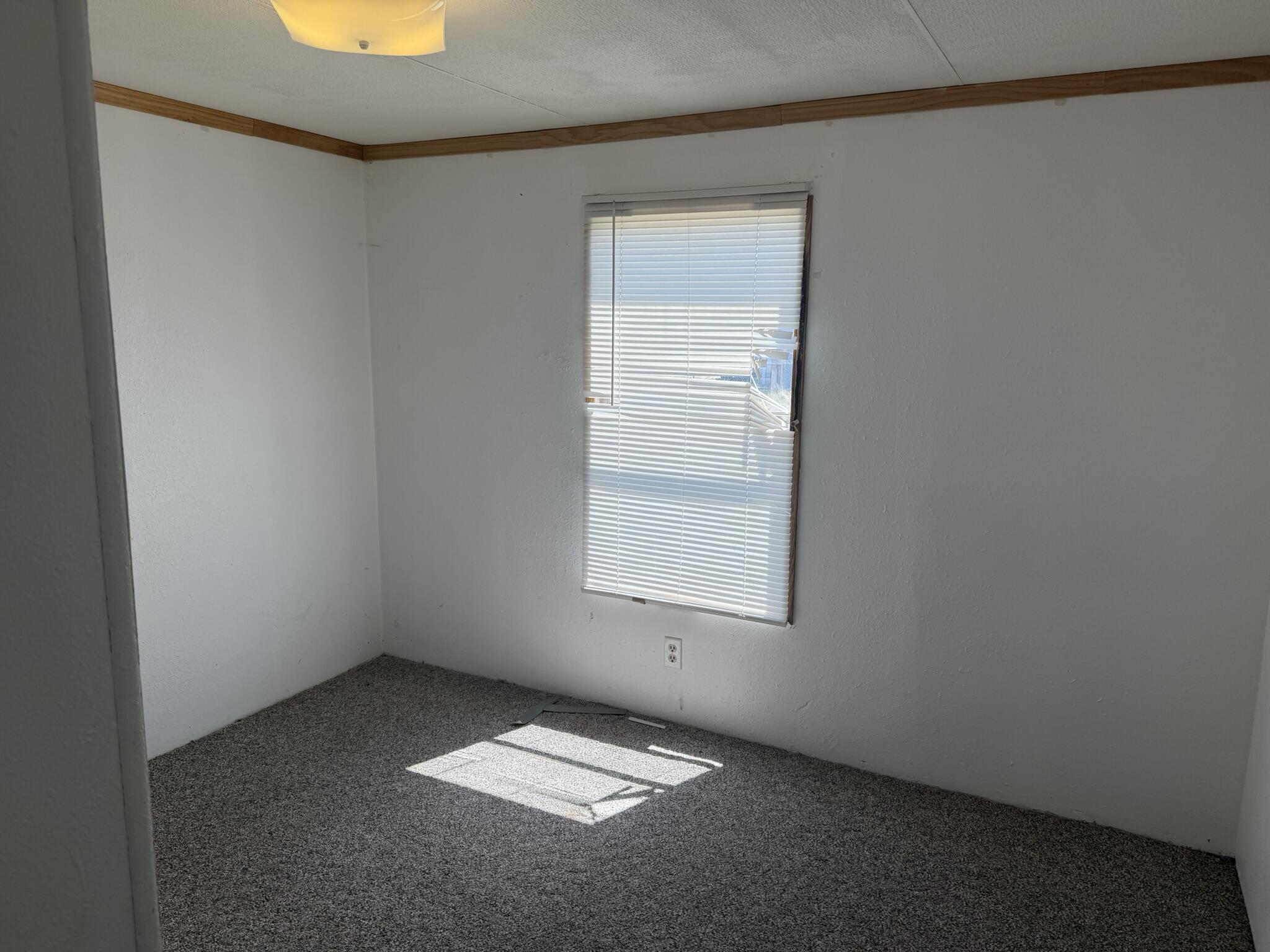 Photo 9 — 304 Walker Street