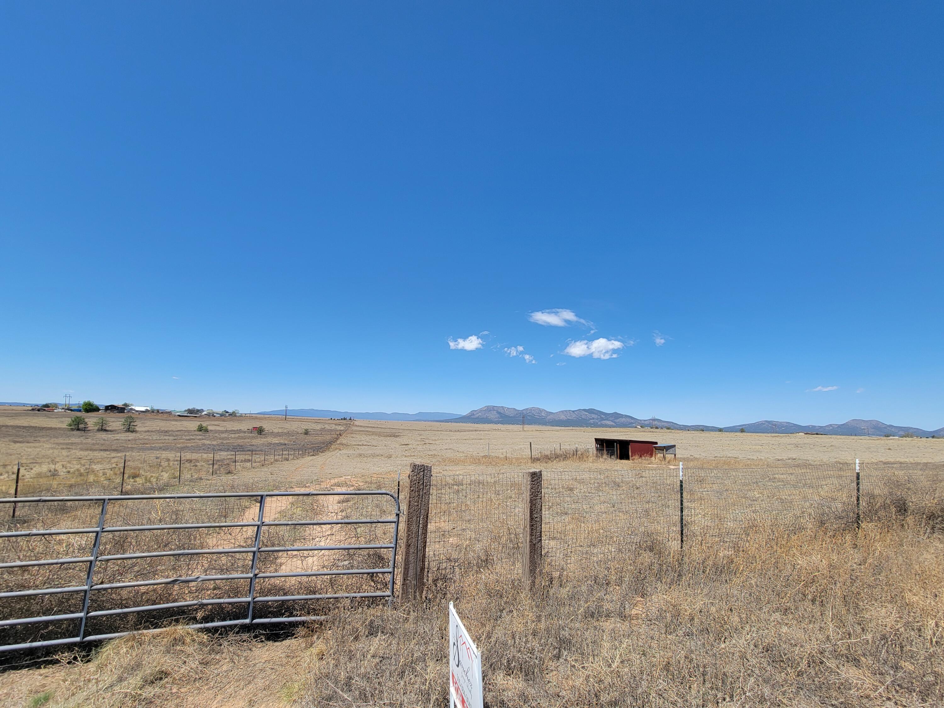 Photo 2 — 55 Prairiewood Lane