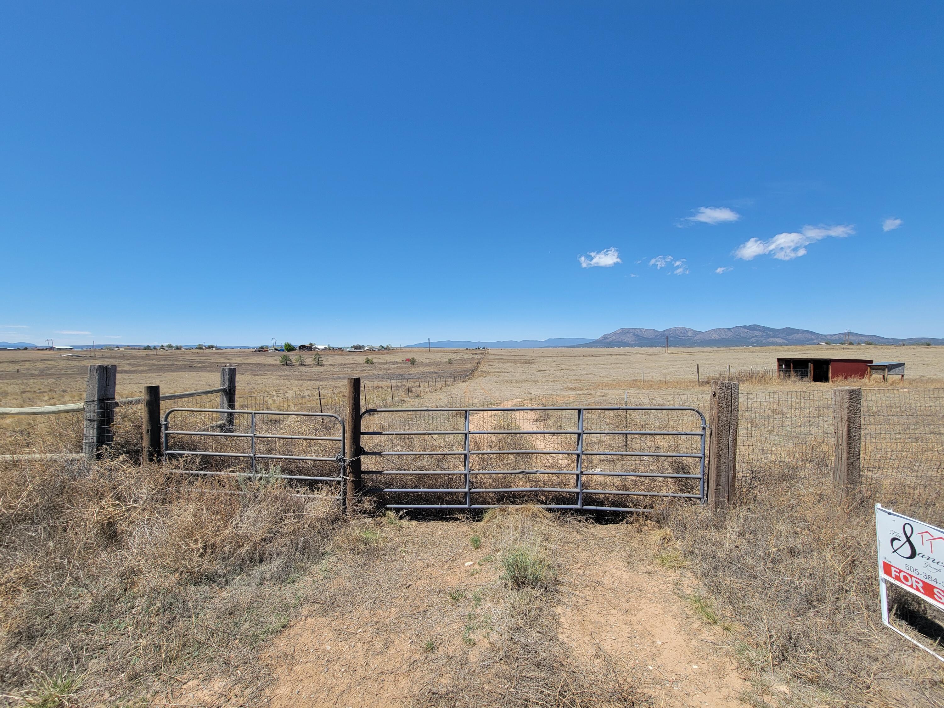 Photo 7 — 55 Prairiewood Lane