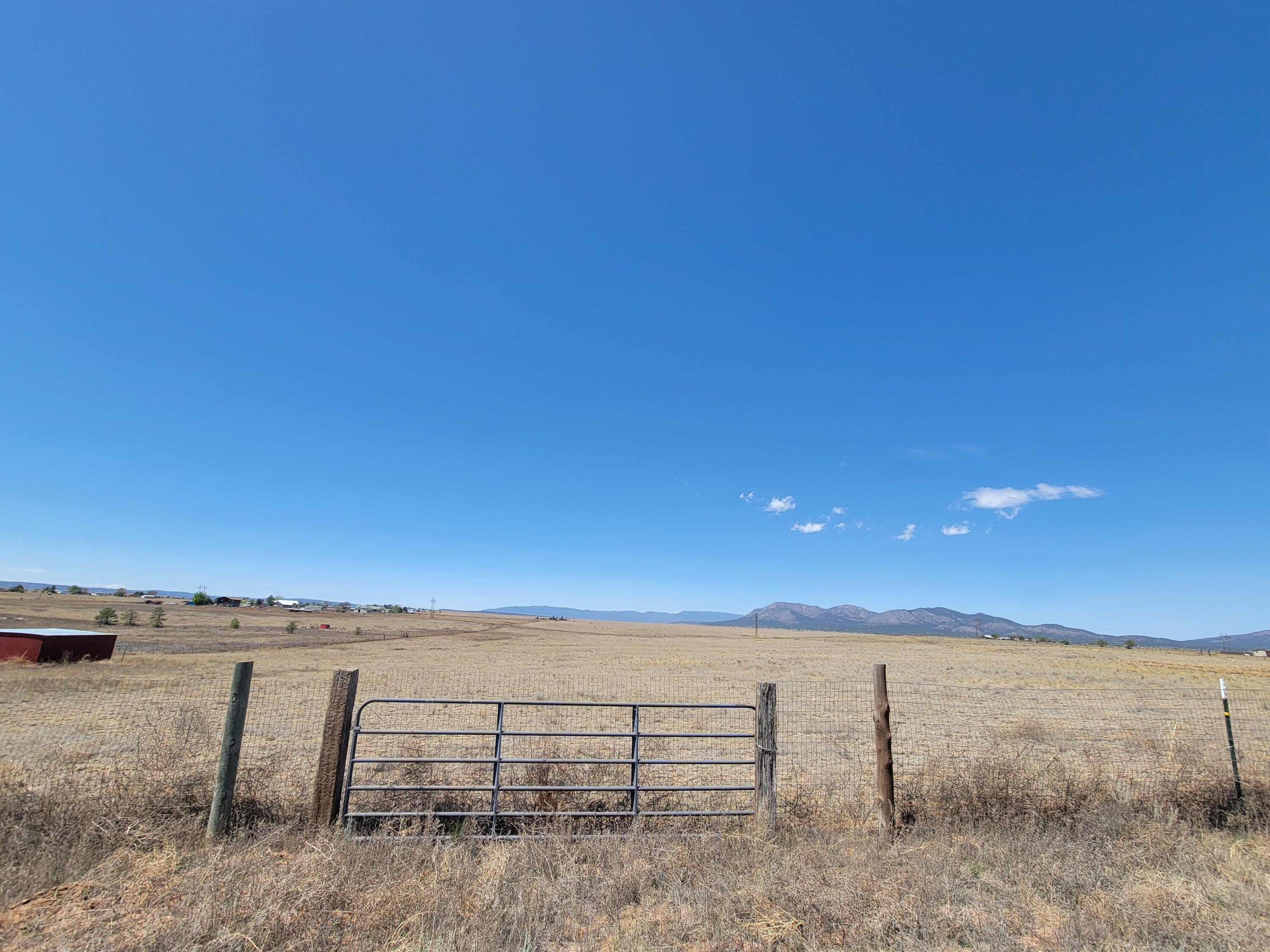 Photo 6 — 55 Prairiewood Lane