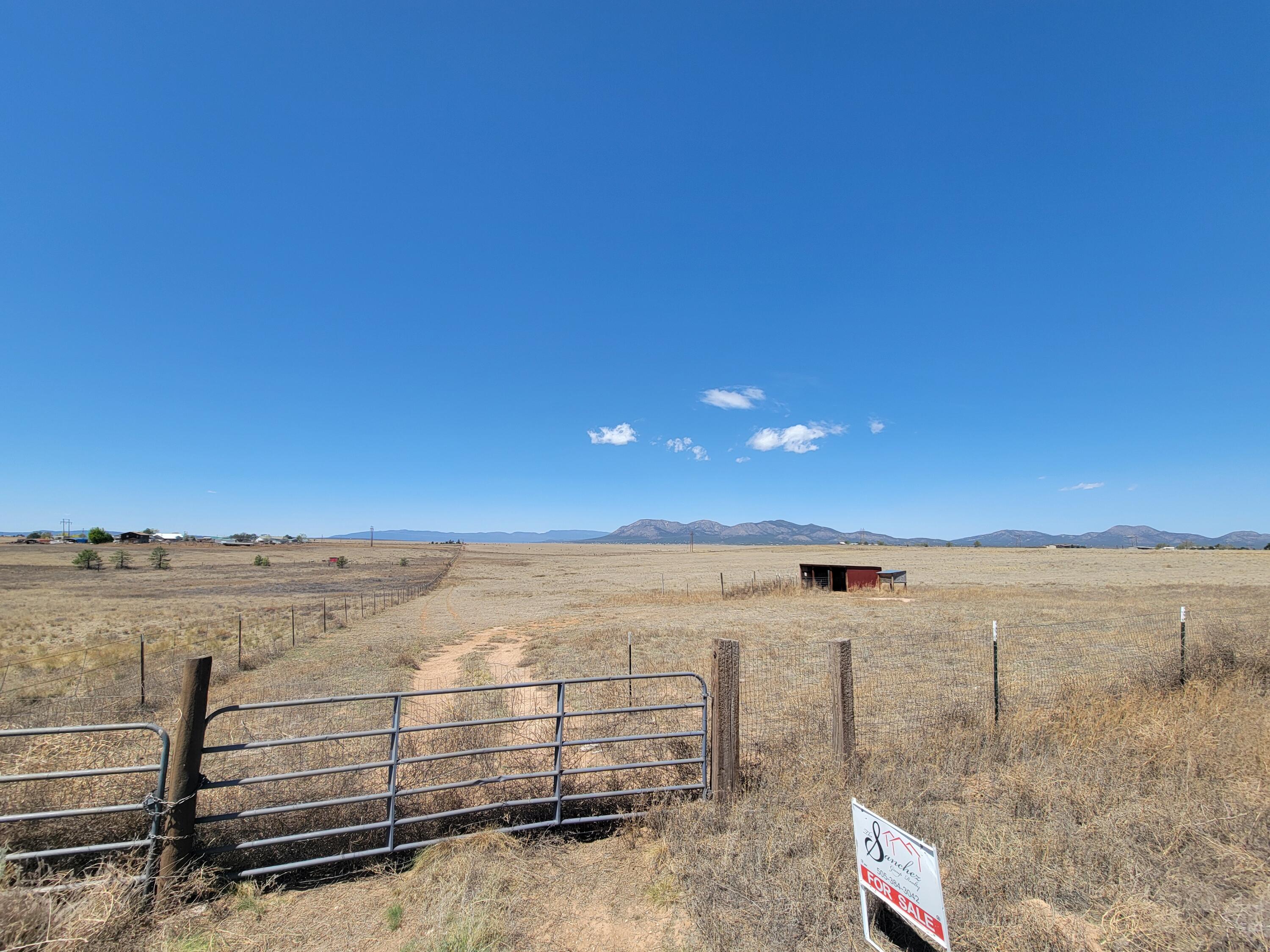 Photo 3 — 55 Prairiewood Lane