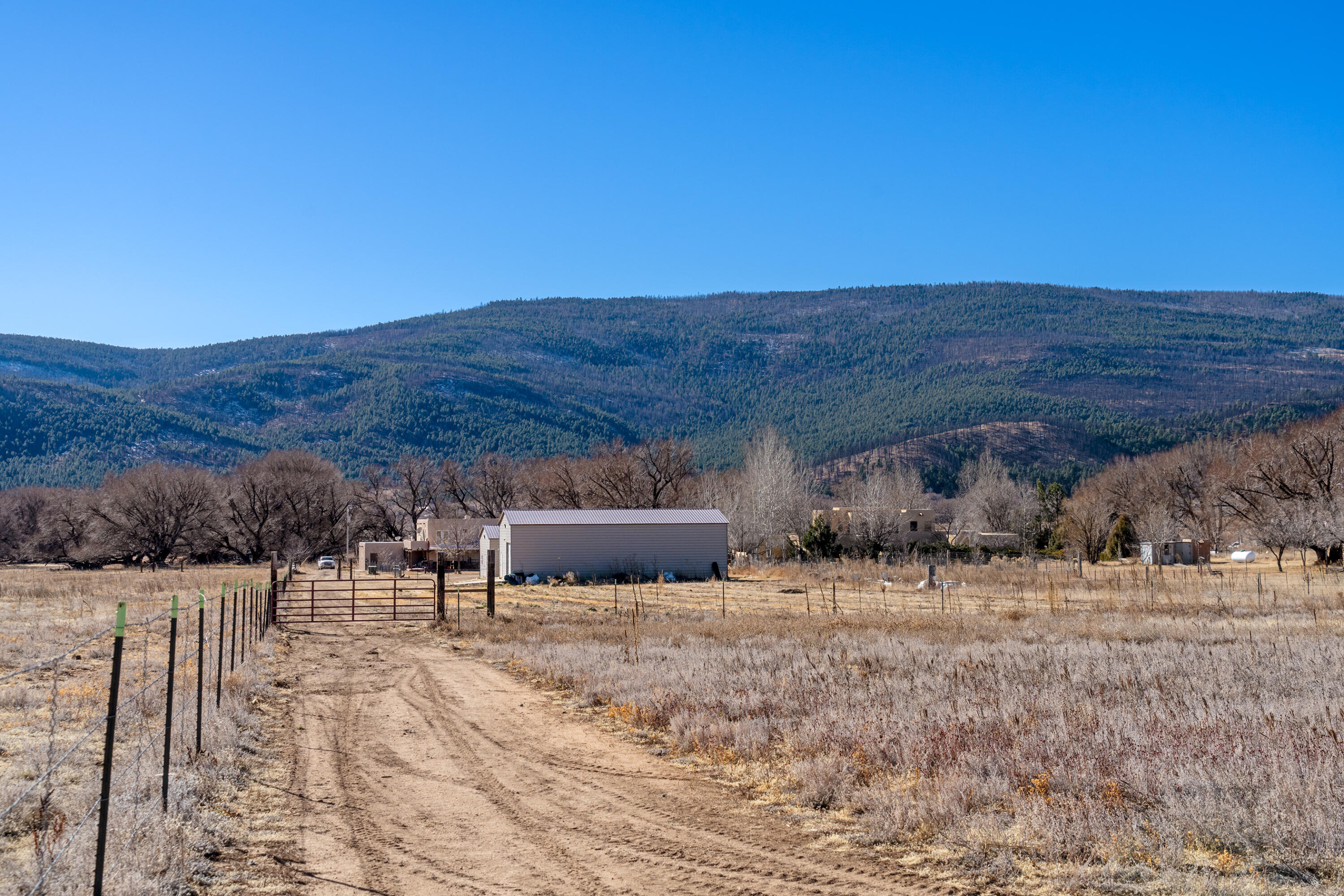 Photo 11 — 1524 New Mexico 94