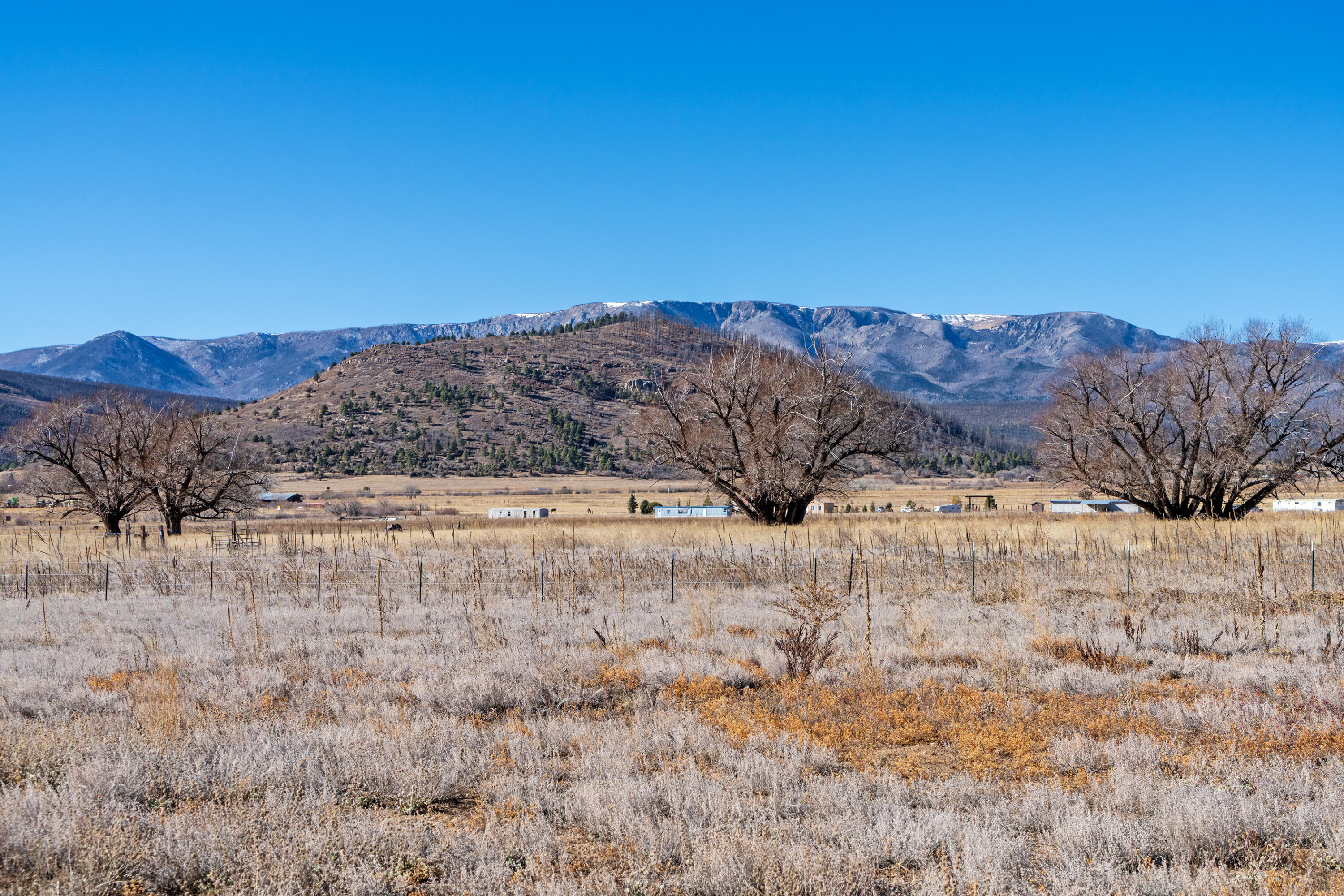 Photo 10 — 1524 New Mexico 94