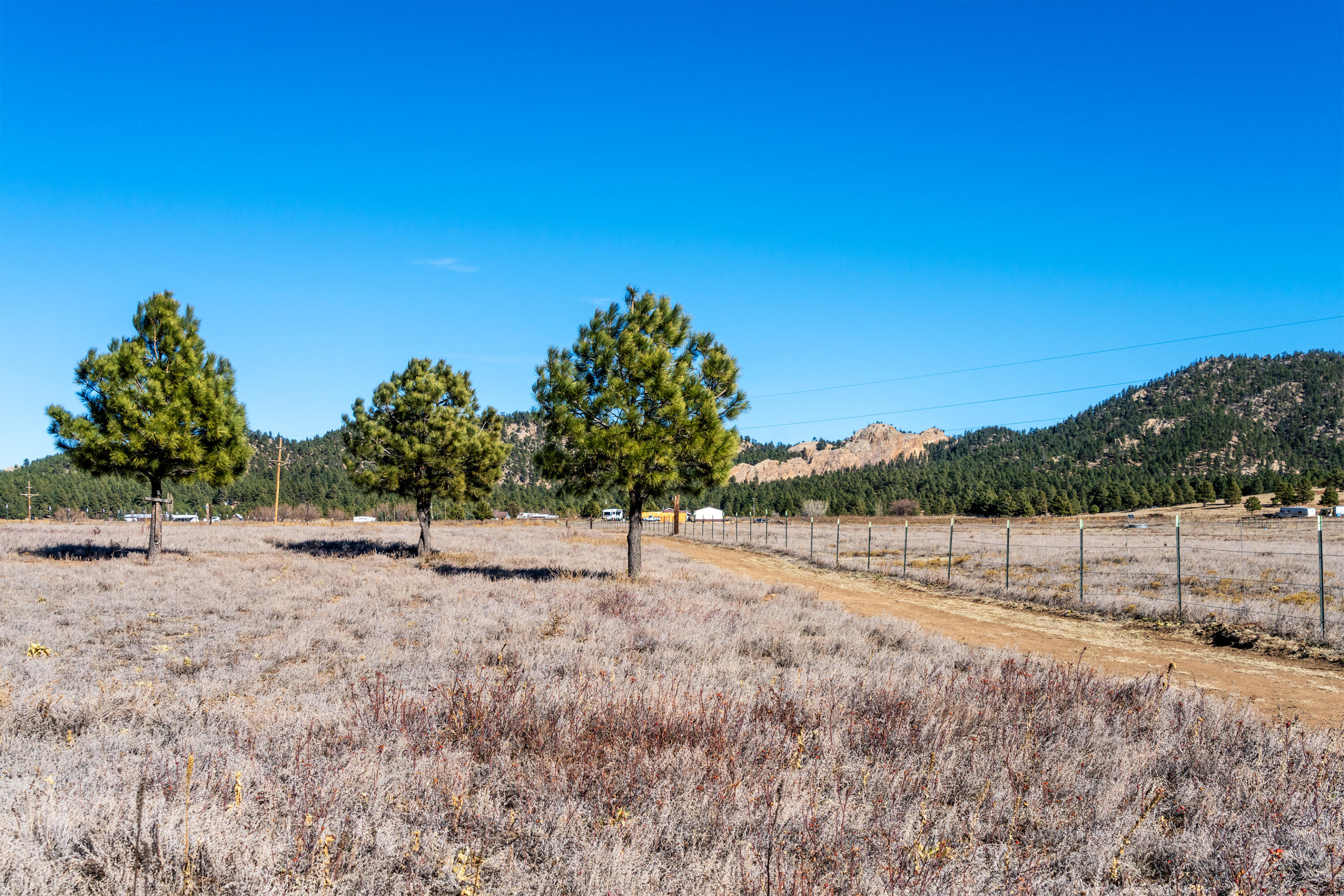 Photo 9 — 1524 New Mexico 94